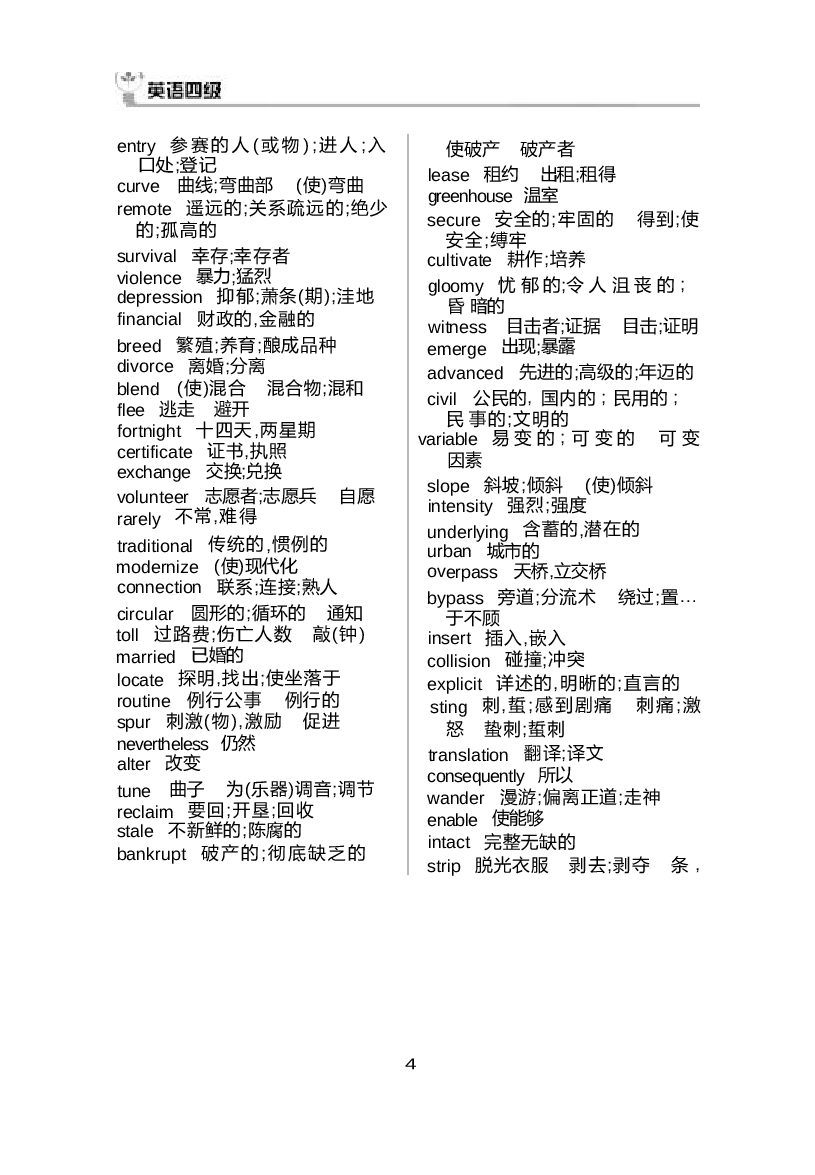 大学英语四级高频词汇.docx 第4页