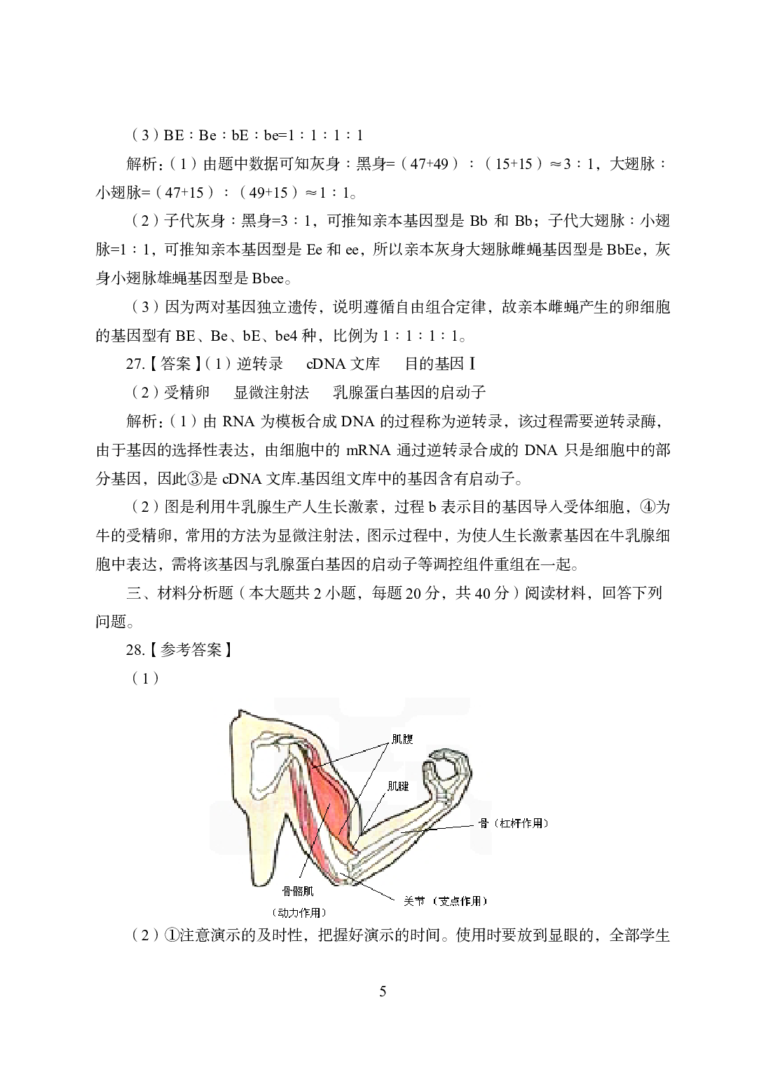 2021年全国教师资格证考试-中学笔试科目三《学科知识与教学能力》模拟卷2-初中生物答案解析.pdf 第5页