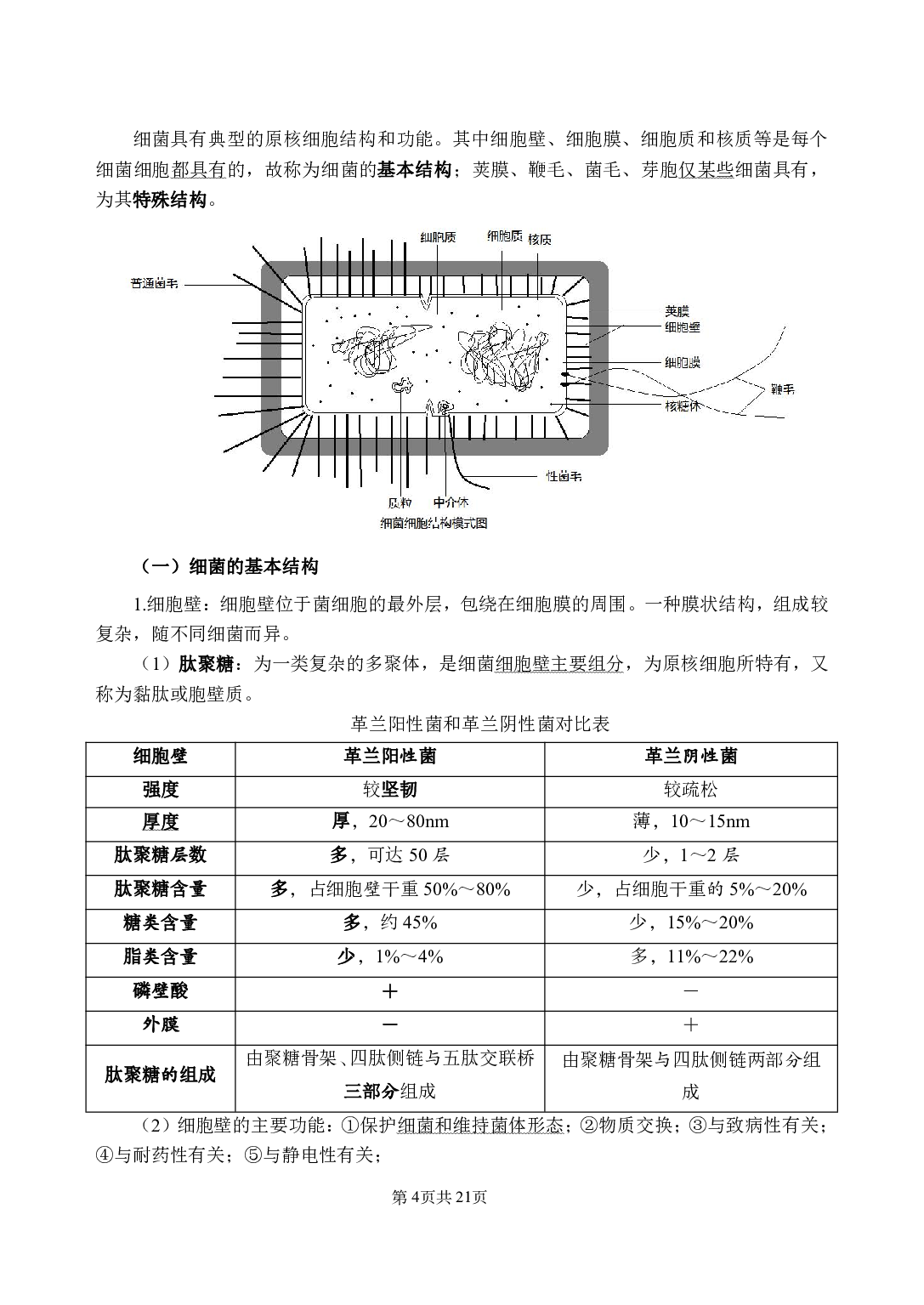 《医学微生物学》医基小科目知识 讲义+试题.pdf 第8页