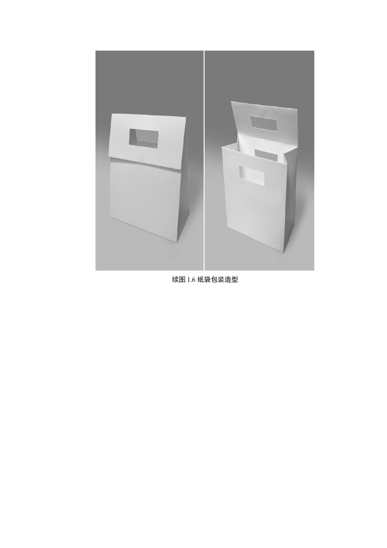 《果乐饼干》包装设计-7436字.docx 第9页