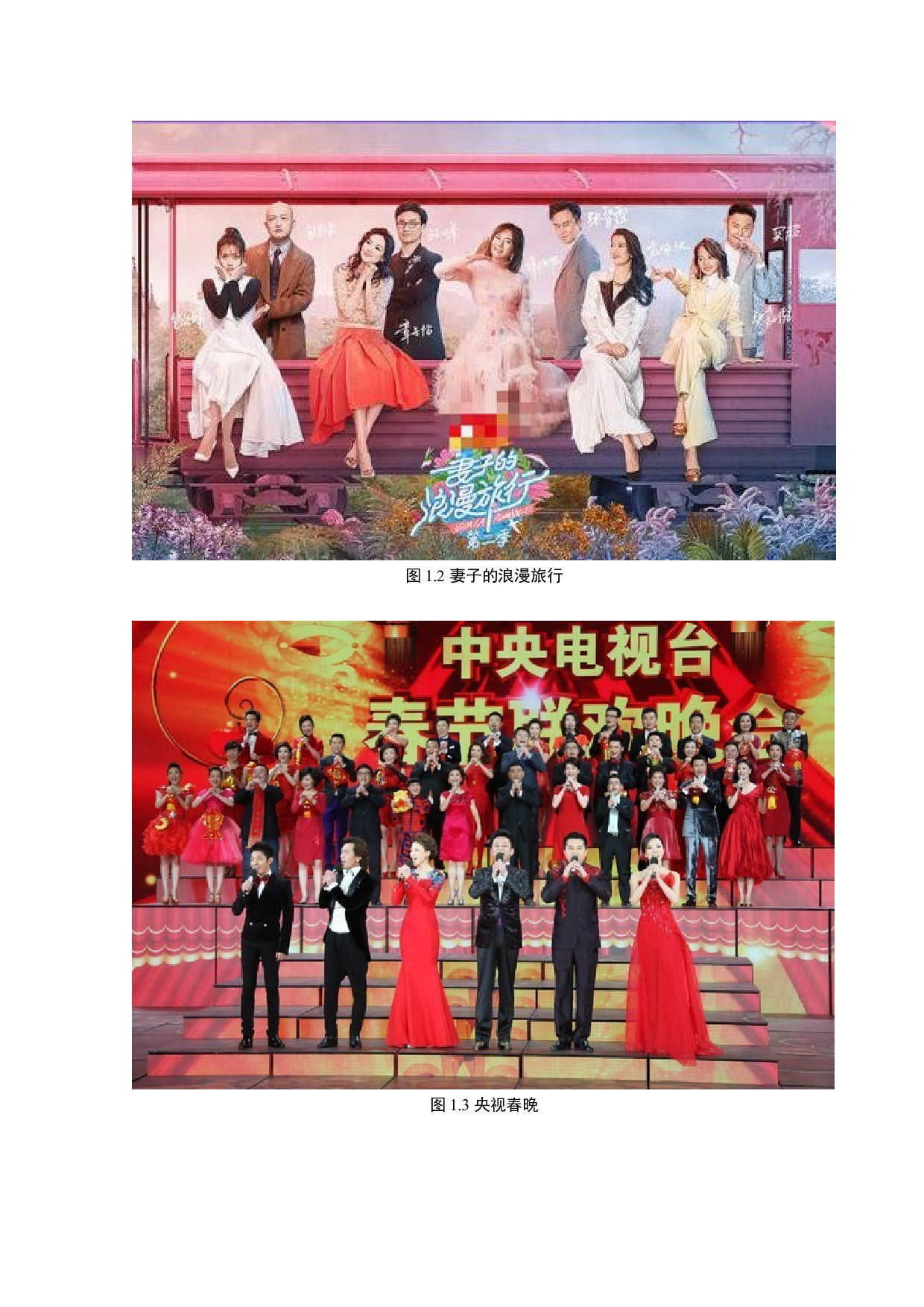 综艺节目主持人自身特质对自我风格塑造的影响-8735字.docx 第8页