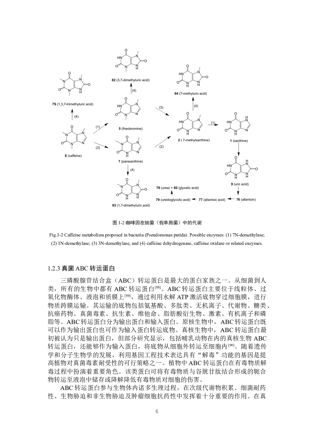 茶树中耐咖啡因真菌分离及其耐受机制研究-22140字.docx 第6页