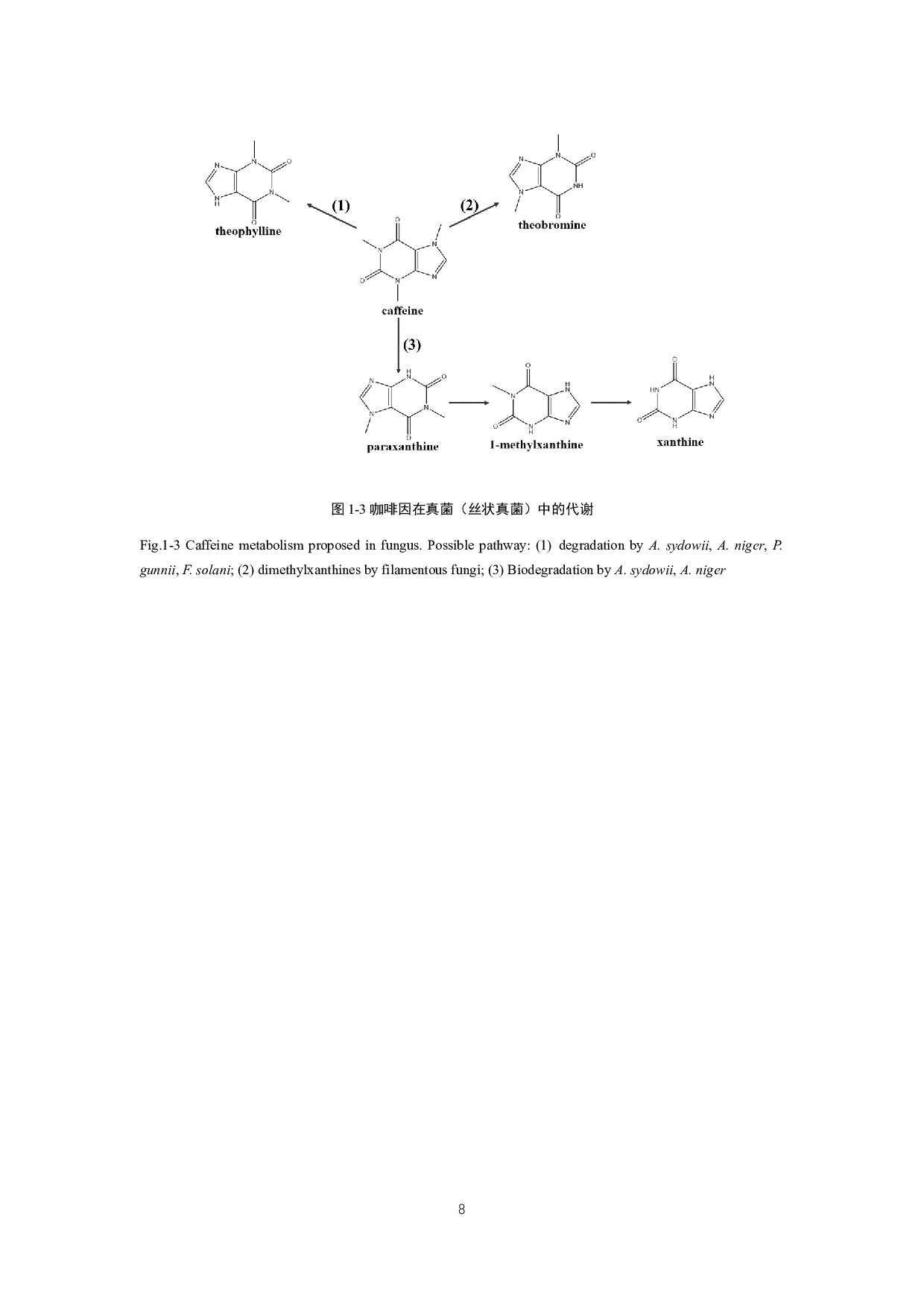 茶树中耐咖啡因真菌分离及其耐受机制研究-22140字.docx 第8页
