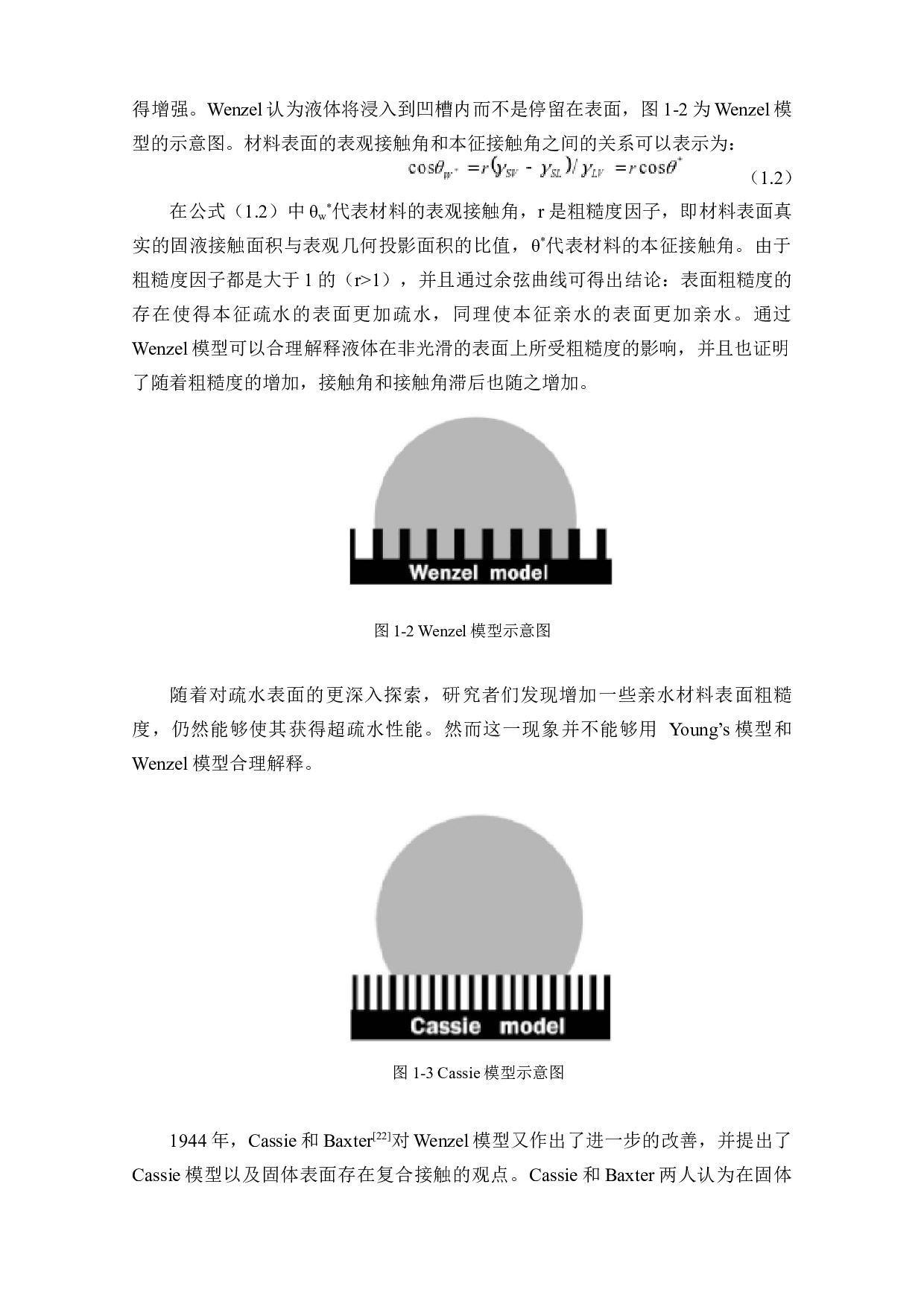 ZrO2和ZrNx薄膜的结构形貌与润湿性研究-43389字.docx 第10页