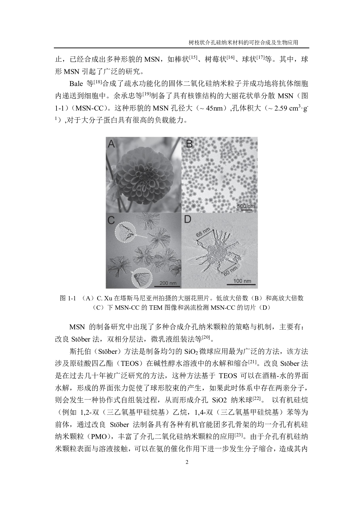 树枝状介孔硅纳米材料的可控合成及生物应用-4518字.pdf 第10页