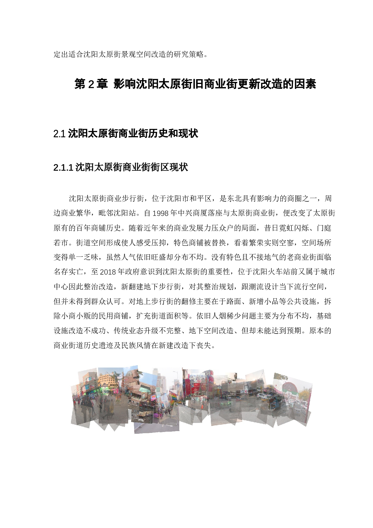 沈阳太原街景观改造设计-12094字.docx 第10页