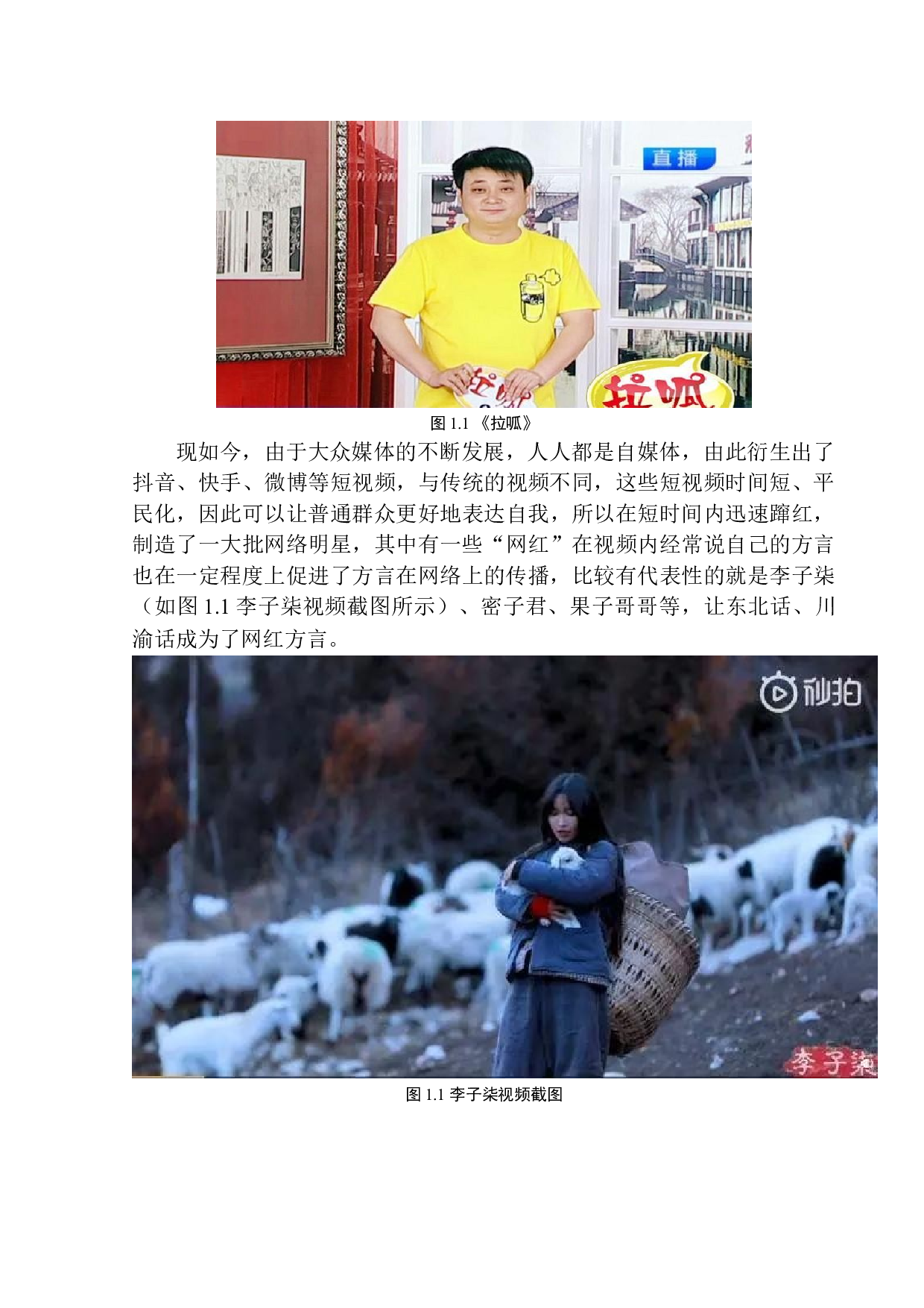 方言类综艺节目的生存优势-9047字.docx 第7页