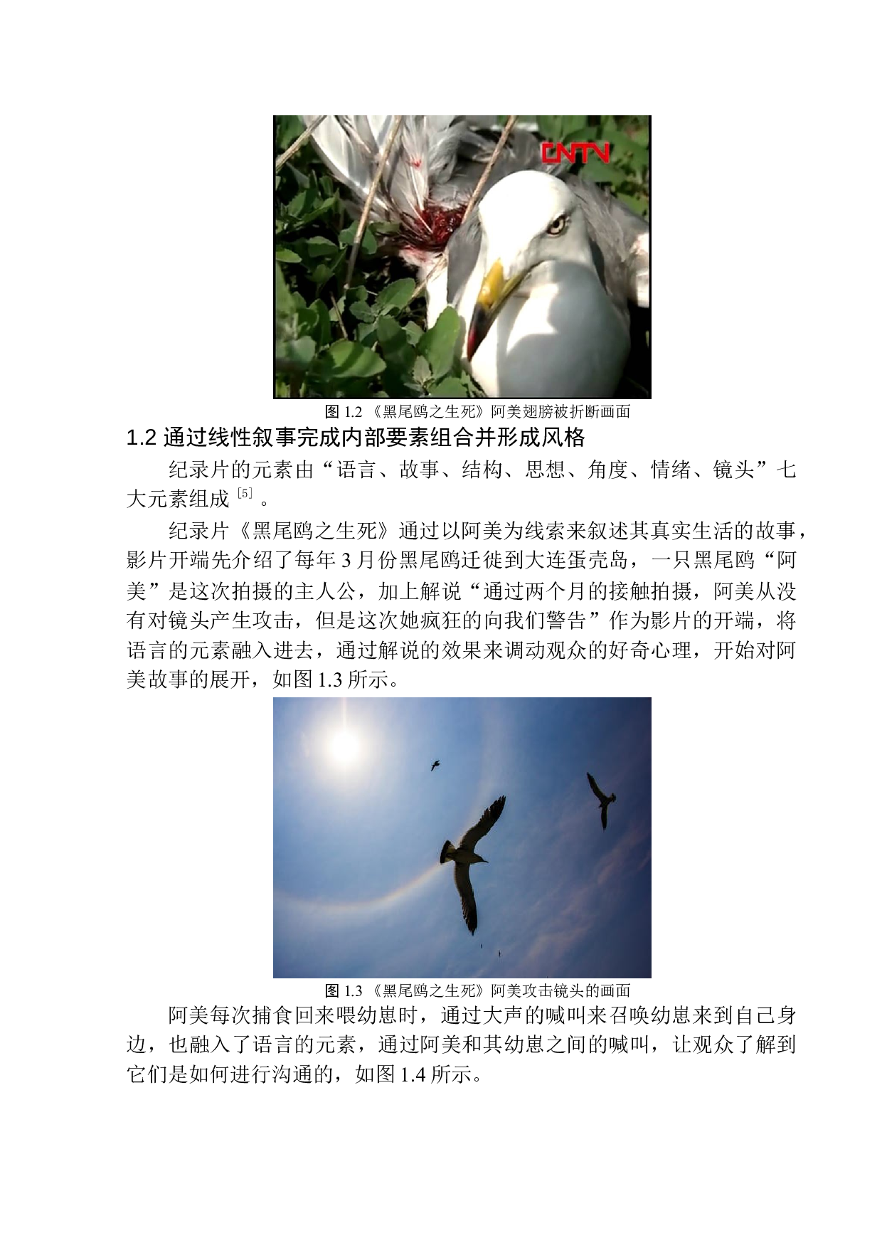 纪录片《黑尾鸥之生死》的线性叙事研究-10294字.docx 第8页