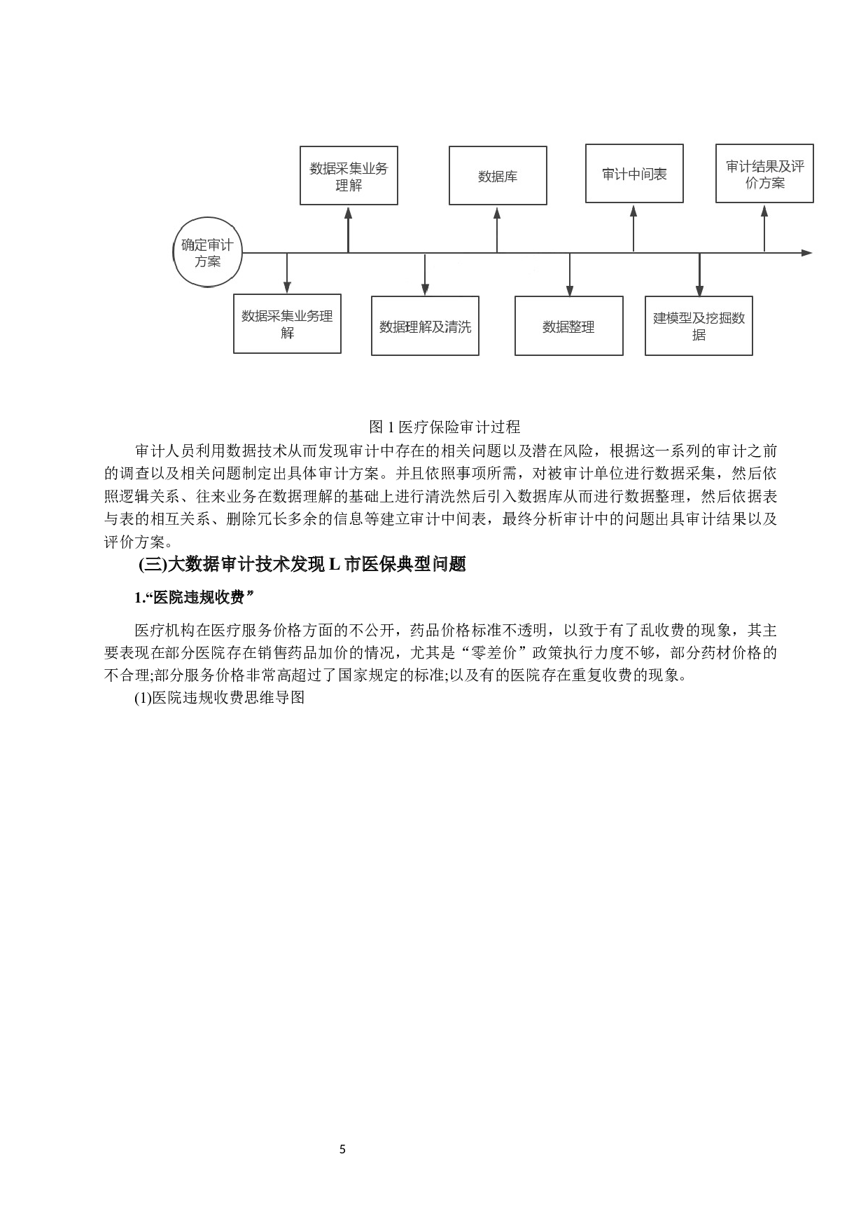 大数据审计在L市医保基金审计中的应用-9810字.docx 第5页