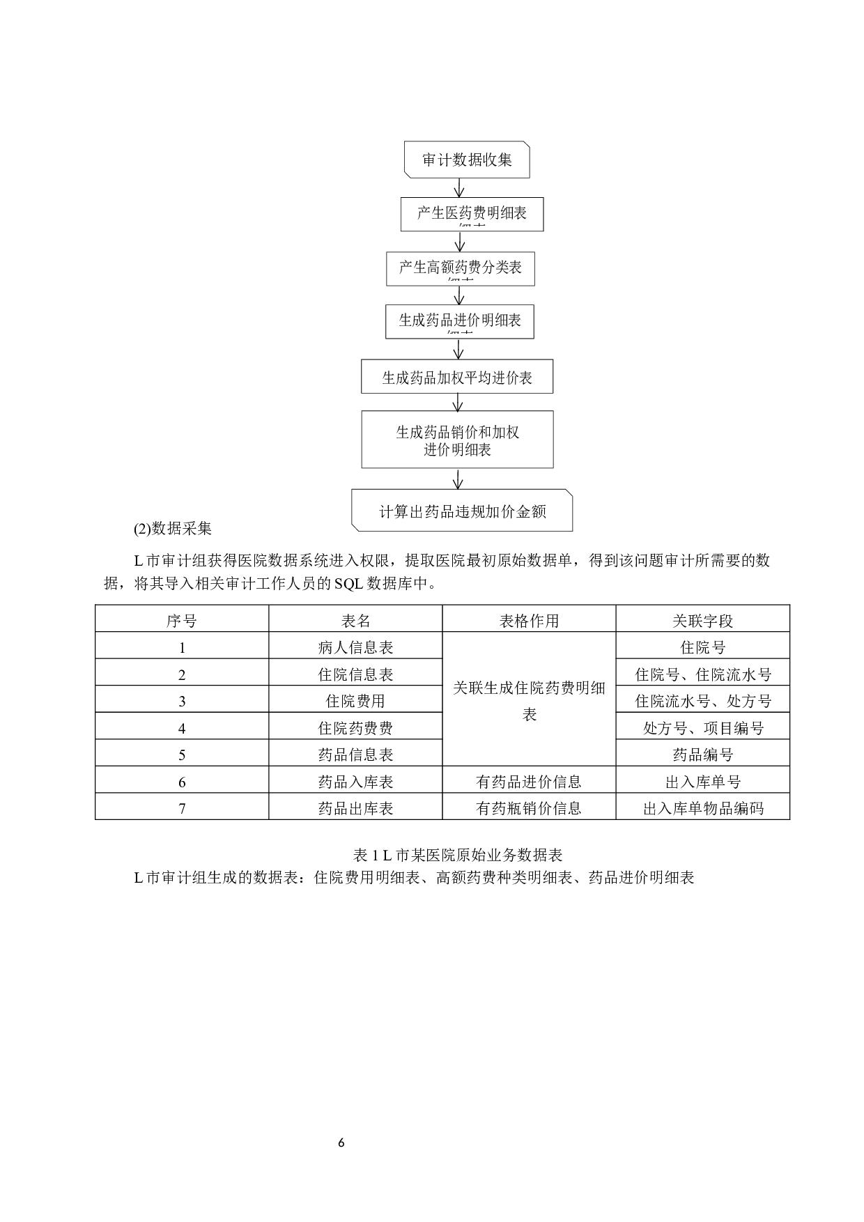 大数据审计在L市医保基金审计中的应用-9810字.docx 第6页