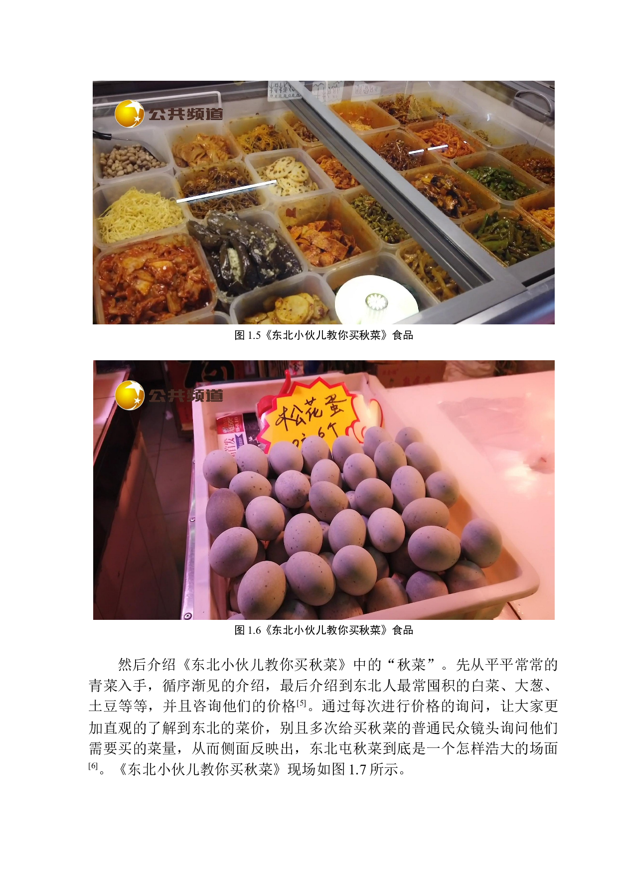 网络直播节目《东北小伙儿教你买秋菜》主持人交流意识的作用-9286字.docx 第9页