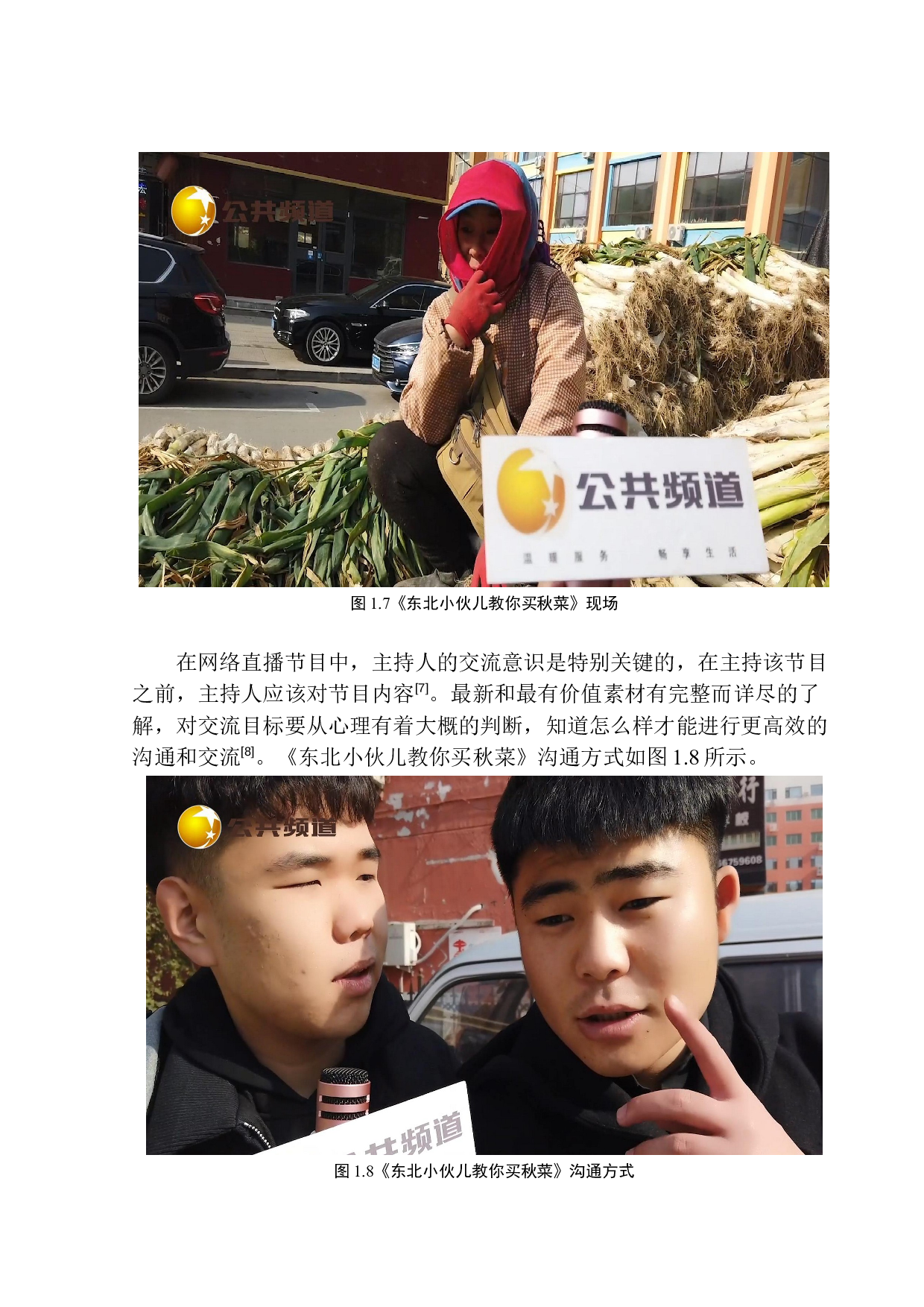 网络直播节目《东北小伙儿教你买秋菜》主持人交流意识的作用-9286字.docx 第10页