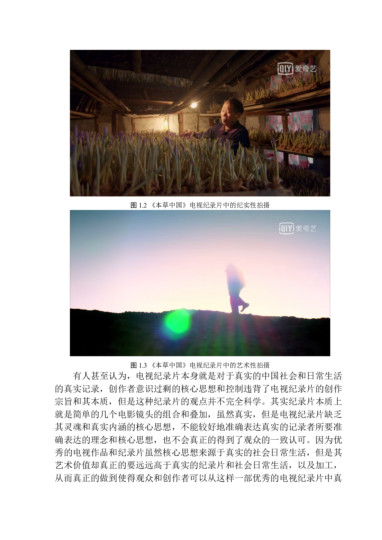 从《本草中国》看电视纪录片纪实性与艺术性的结合-13023字.docx 第8页