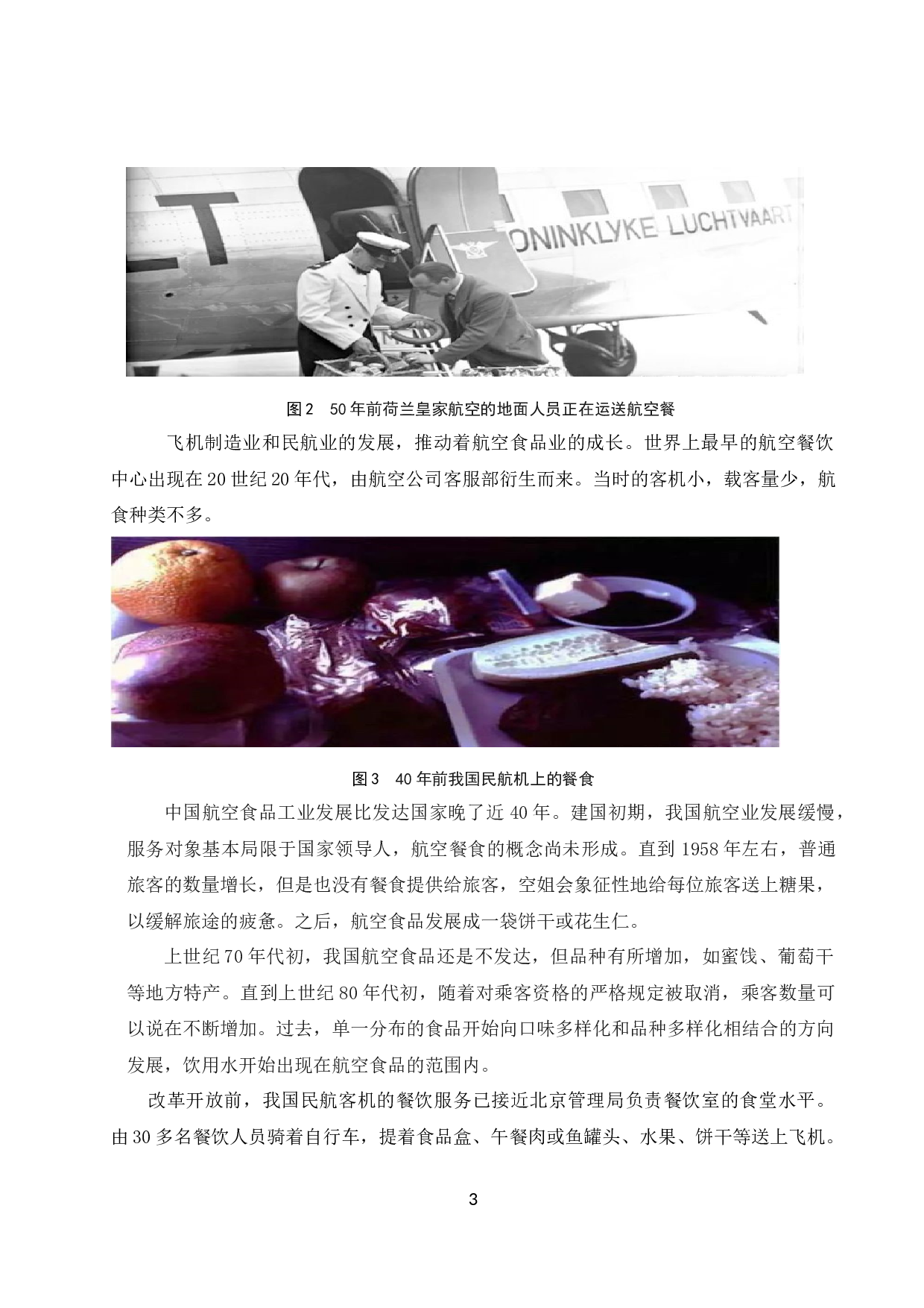 低成本航空公司餐食合理化研究.docx-7913字.docx 第4页