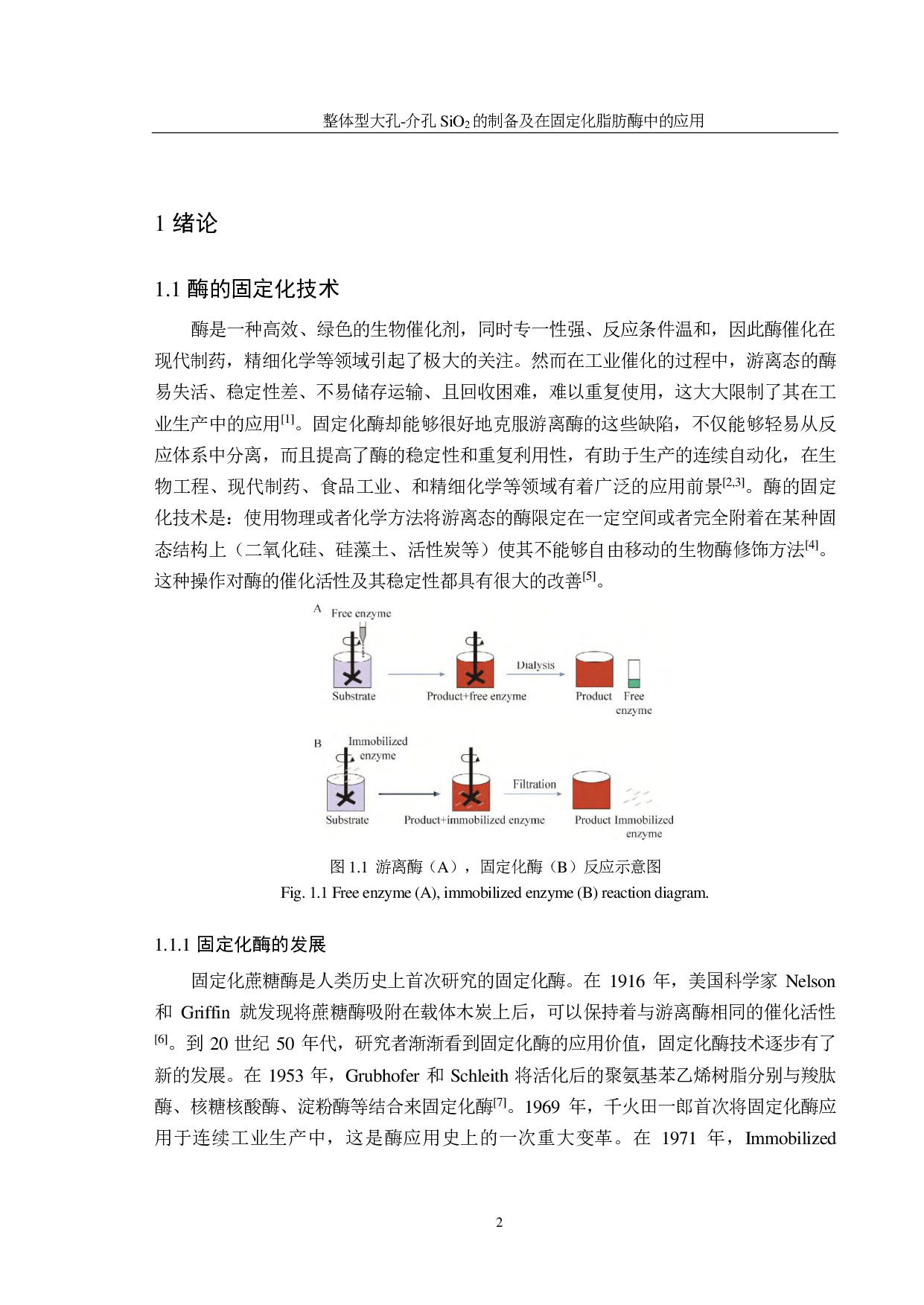 介孔SiO2的制备及在固定化脂肪酶中的应用-6823字.pdf 第10页