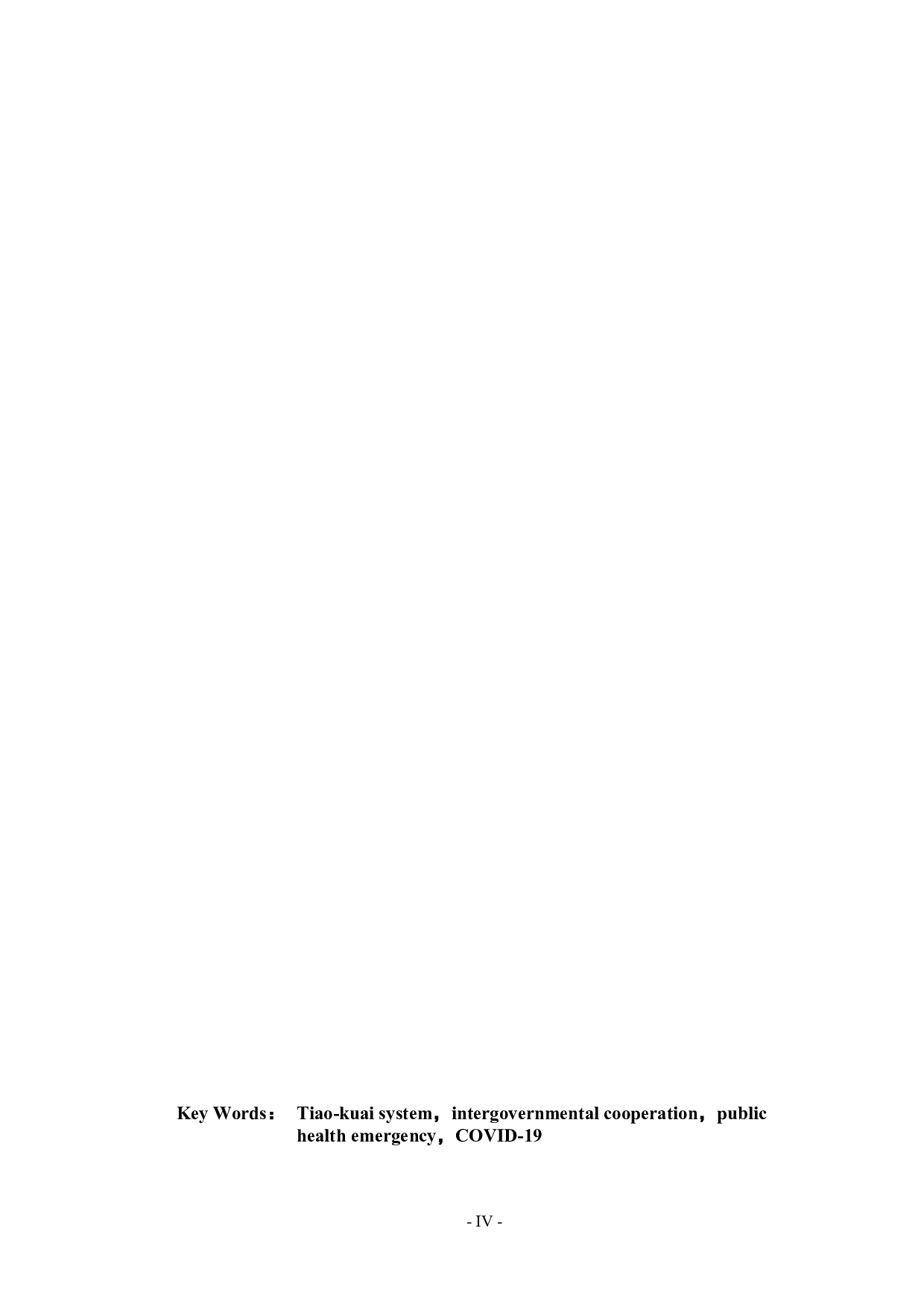 条块体制与政府间合作机制-17257字.docx 第3页