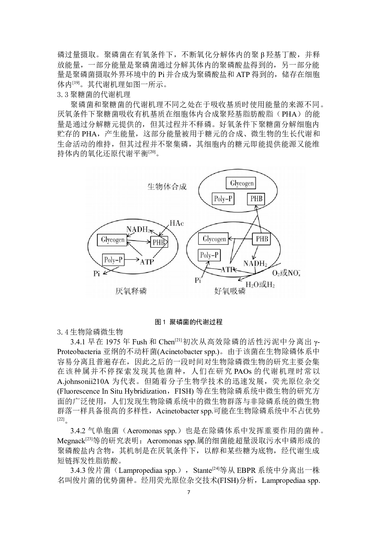 微生物去除氮磷污水的研究现状-7215字.docx 第7页