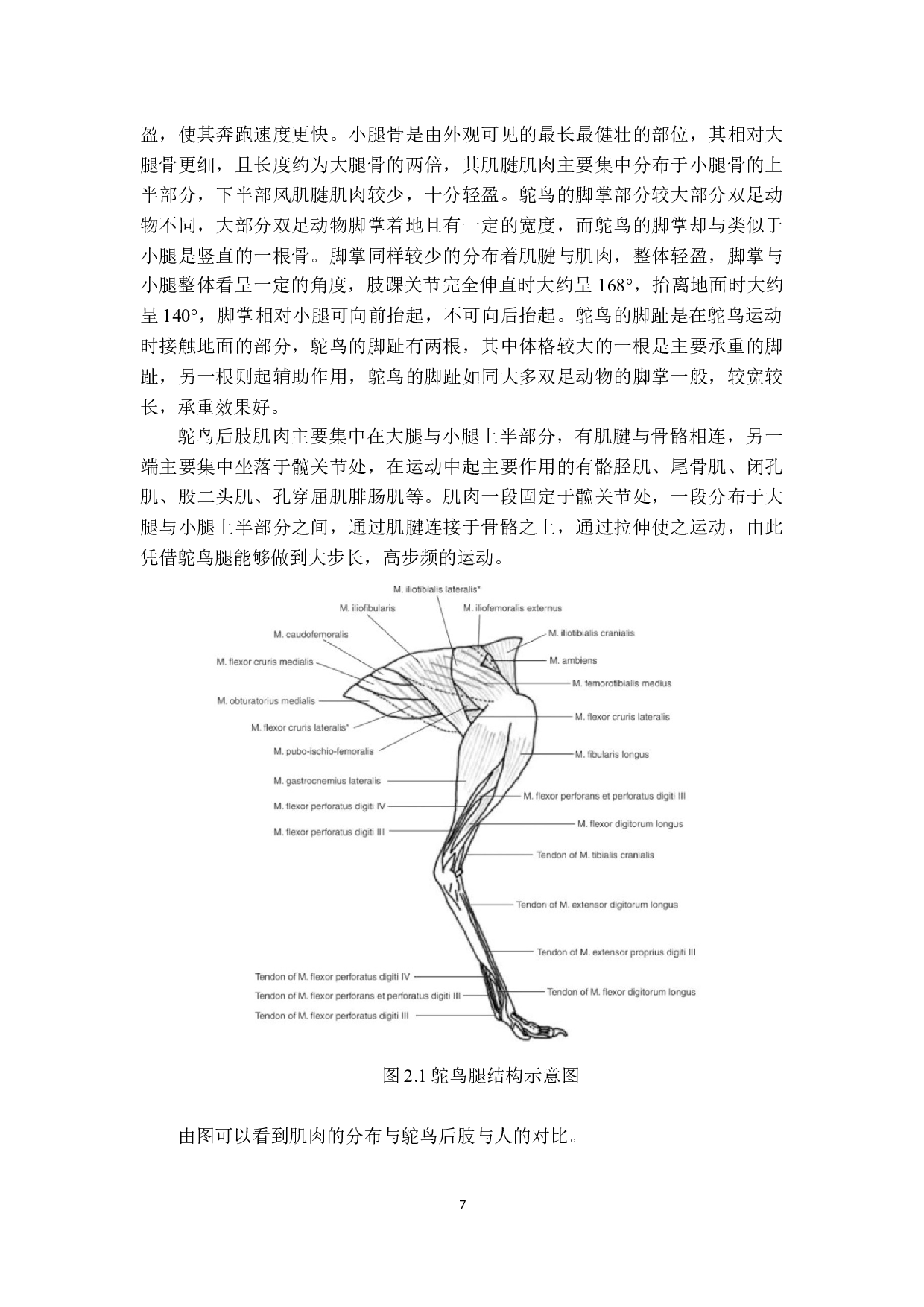 探月机器人机械腿仿生设计-16877字.docx 第8页