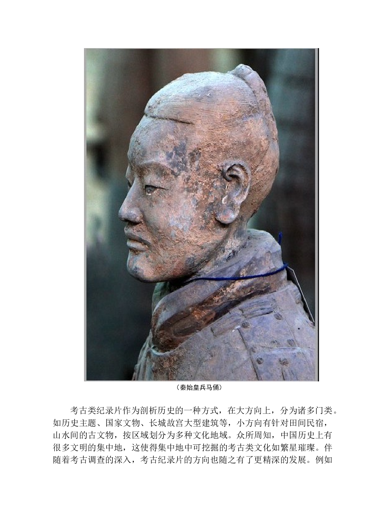 从导演角度分析考古类纪录片中的影像呈现-8051字.docx 第9页