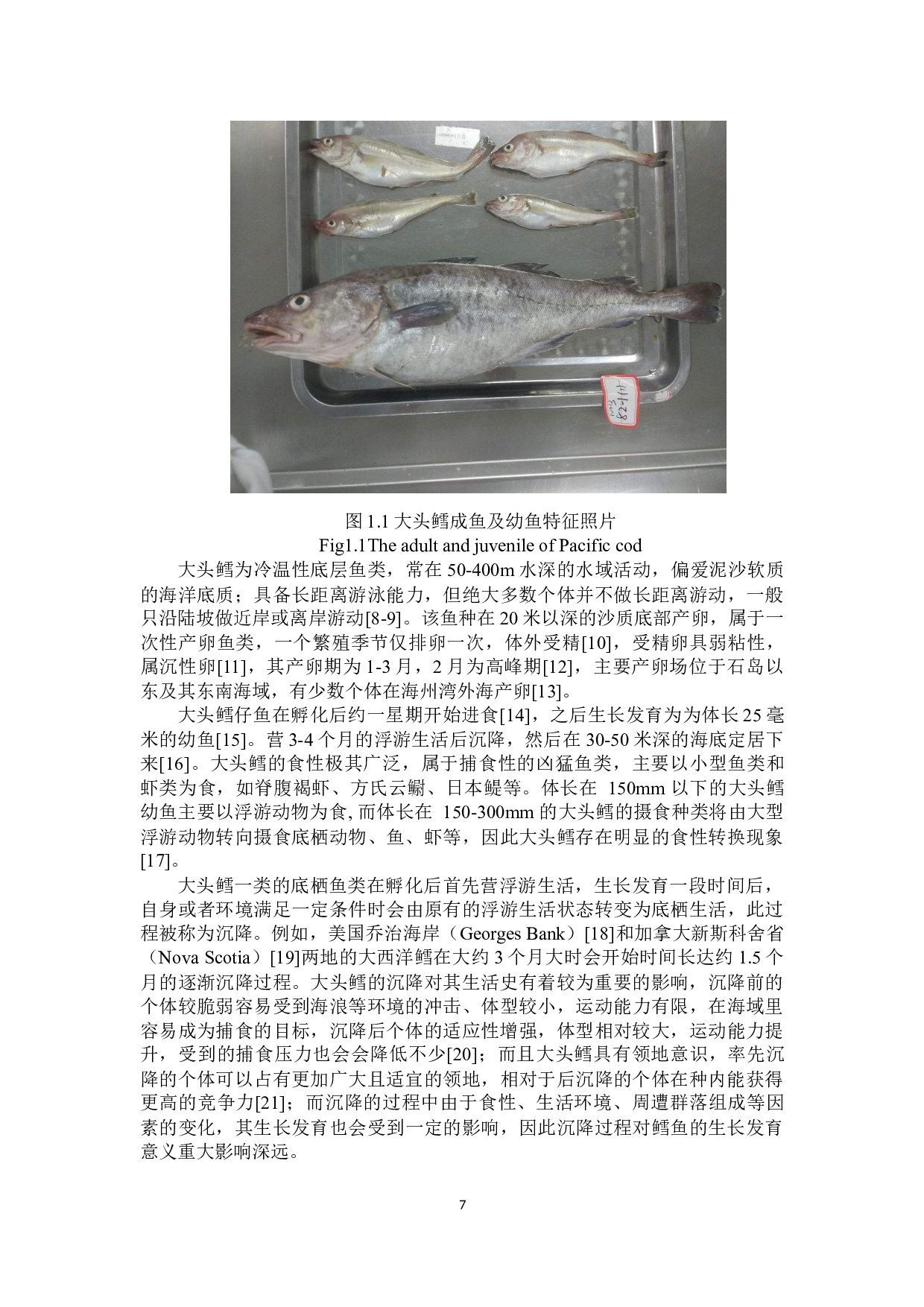 基于耳石微结构的黄海大头鳕早期生长及其影响因子-24668字.docx 第7页