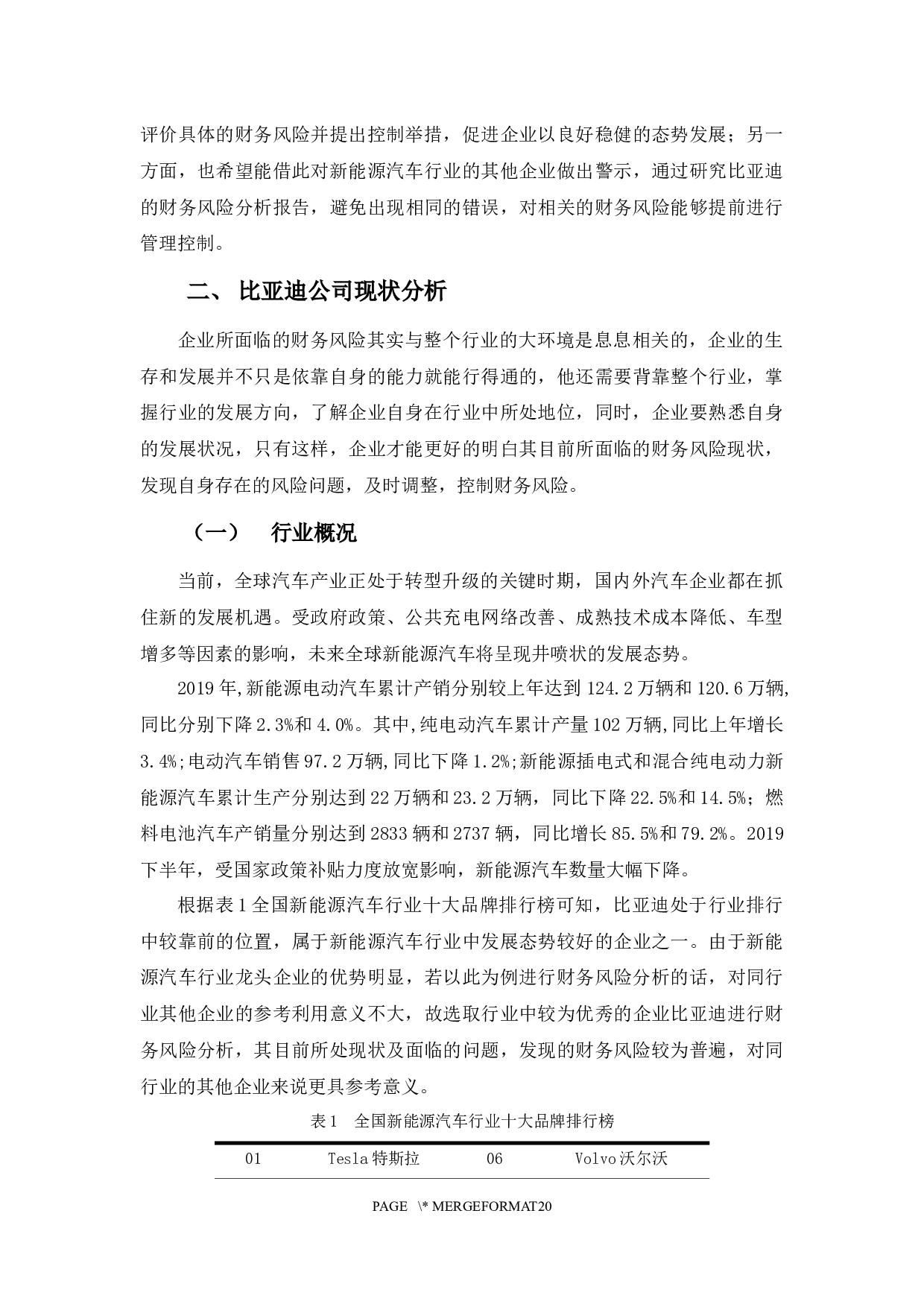 比亚迪股份有限公司财务风险分析-12656字.docx 第5页