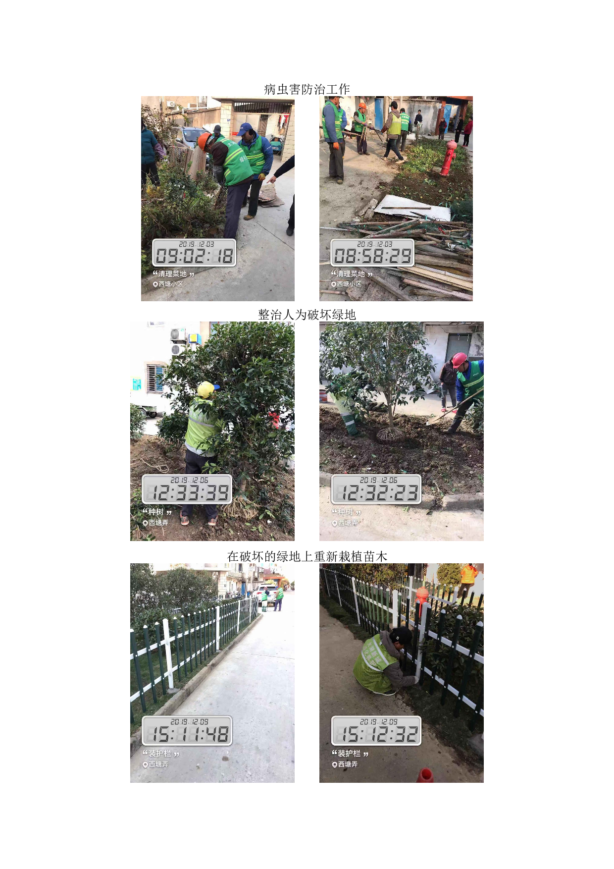 浅析苏州市道路绿化冬季养护与管理-2909字.docx 第5页