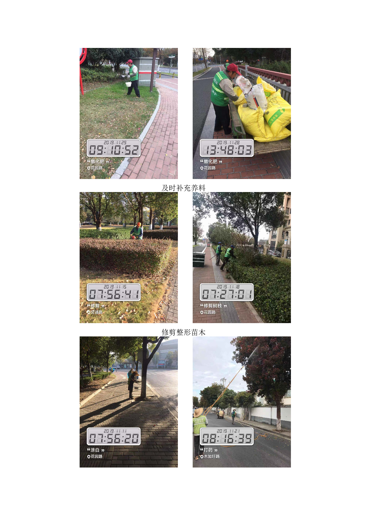 浅析苏州市道路绿化冬季养护与管理-2909字.docx 第4页