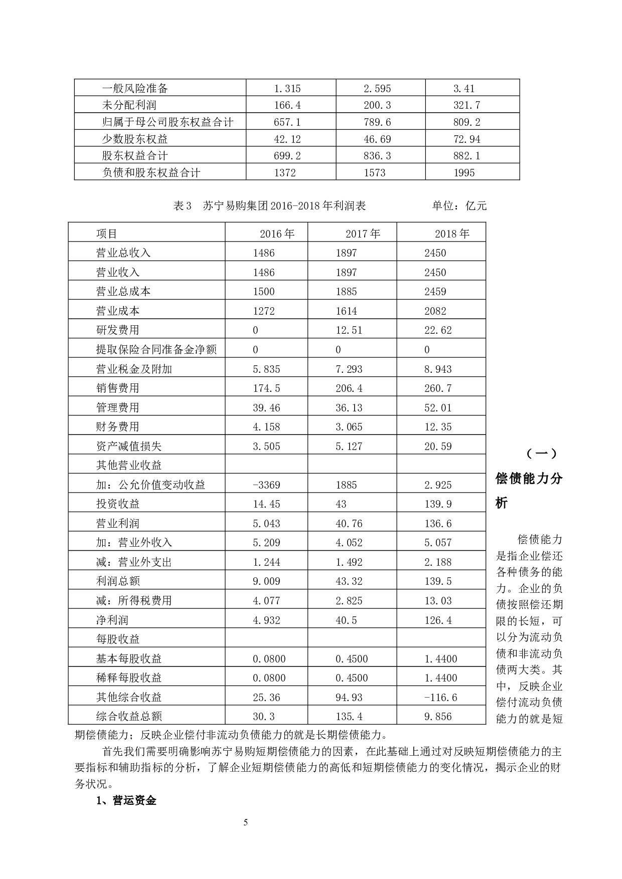 苏宁易购财务效率分析-11471字.docx 第5页