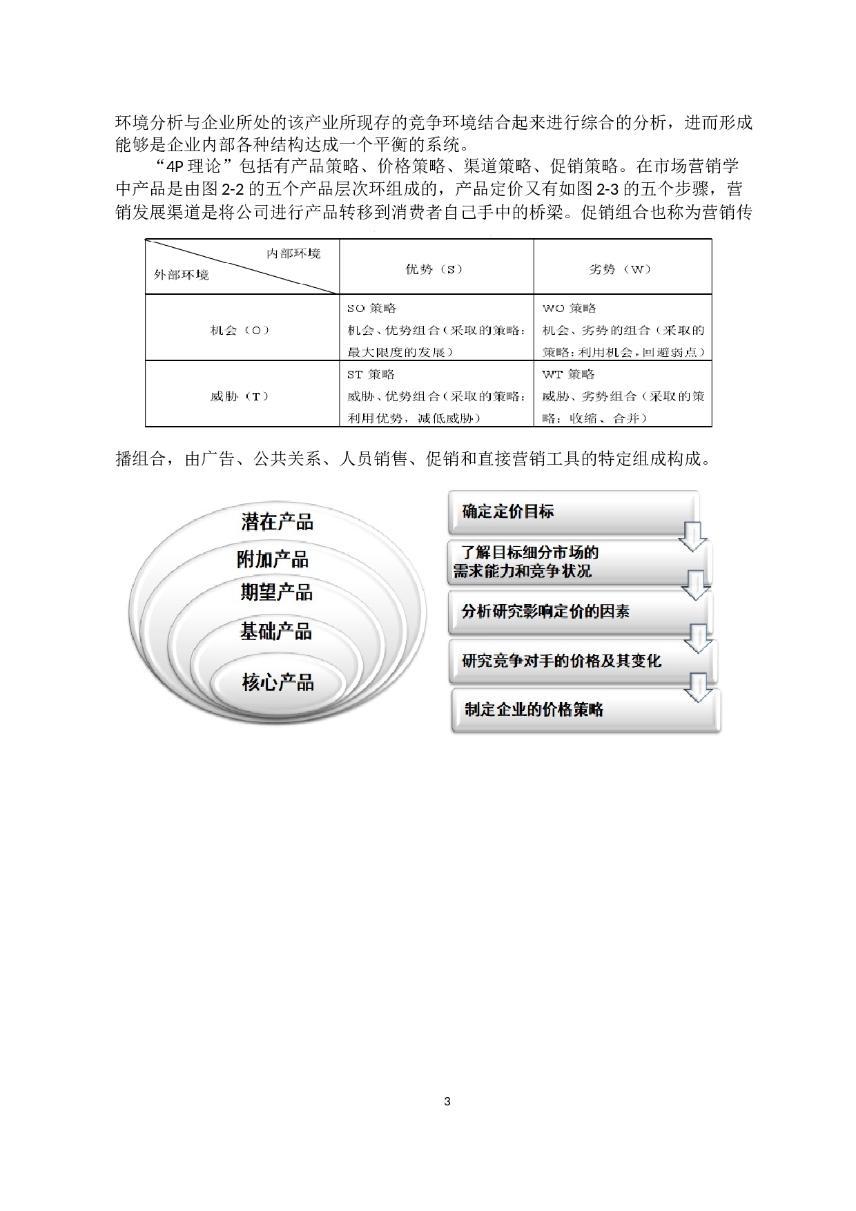 宏辉果蔬公司的线上线下营销策略研究-11664字.docx 第6页