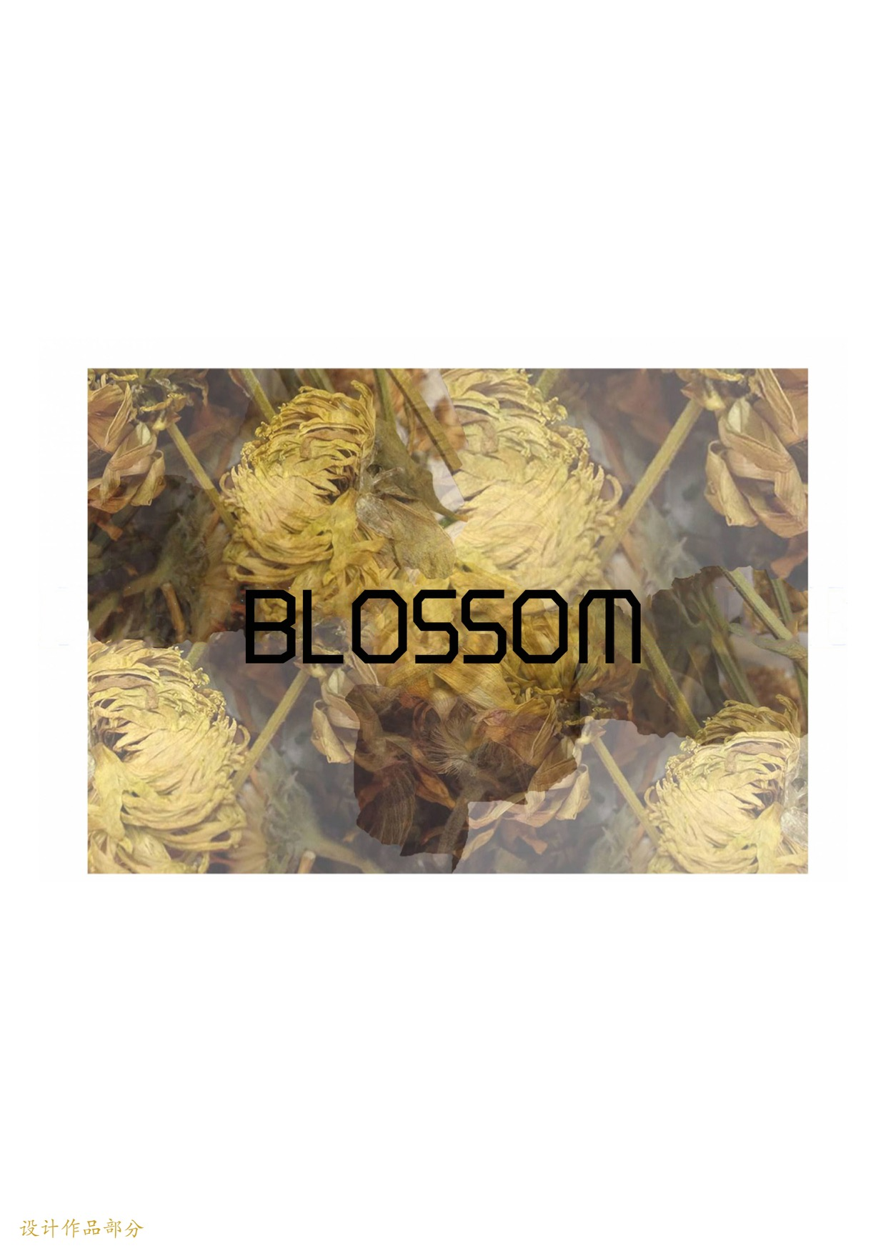 向日葵图案在现代女装中的运用-1064字.pdf 第2页