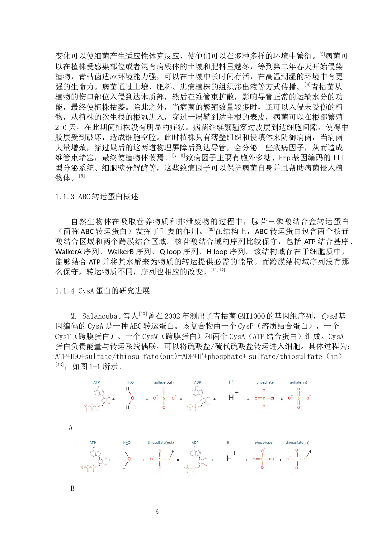 青枯菌CysA蛋白功能的生物信息学研究-7021字.docx 第6页