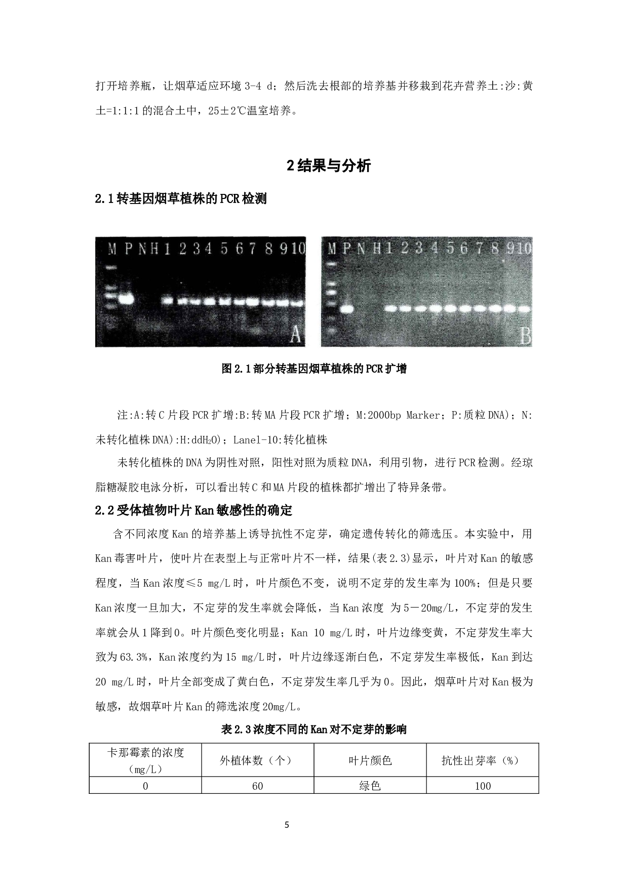 外源基因瞬时转化烟草叶片的研究(1)_外源基因瞬时转化烟草叶片的研究-6168字.docx 第9页