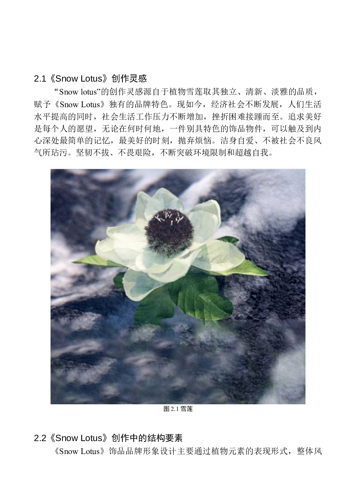 lotus》品牌设计-5381字.docx 第7页