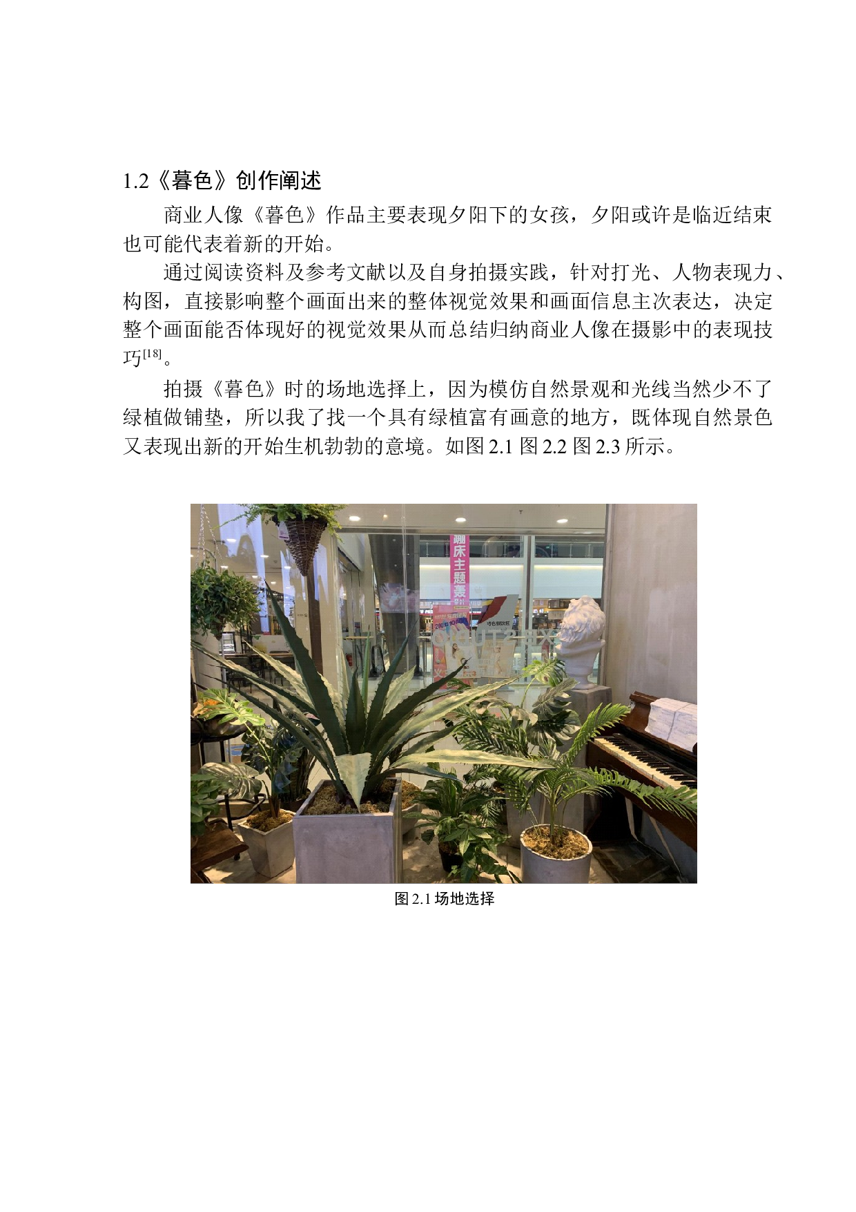 商业摄影《暮色》创作说明-5915字.docx 第8页