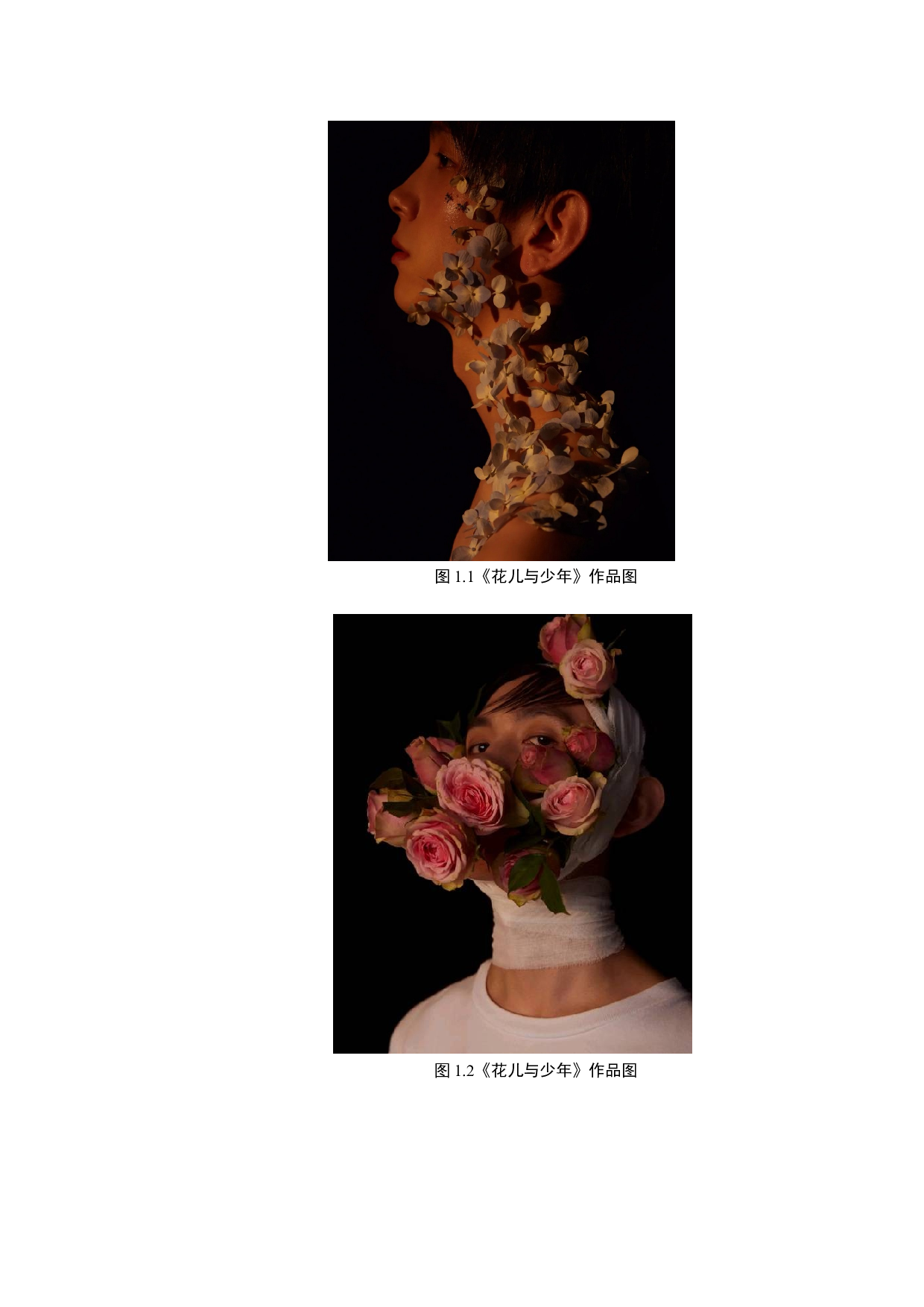 商业摄影《花儿与少年》创作说明-7442字.docx 第7页