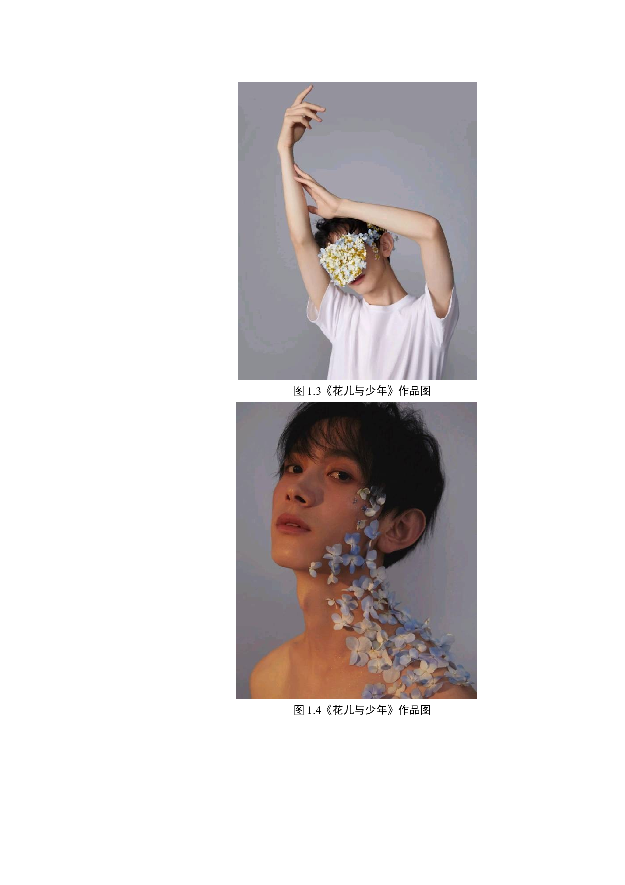 商业摄影《花儿与少年》创作说明-7442字.docx 第8页
