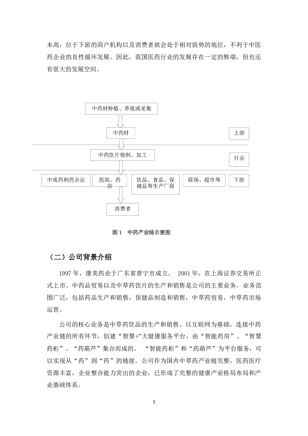 康美药业审计风险分析-10439字.docx 第5页
