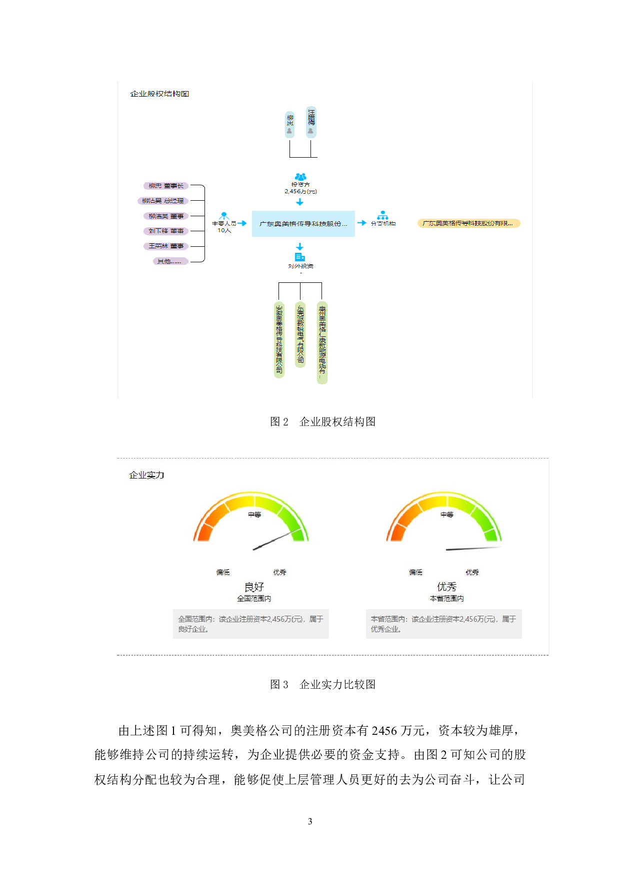 中小企业偿债能力分析&mdash;&mdash;以广东奥美格传导科技股份有限公司为例-12225字.docx 第6页