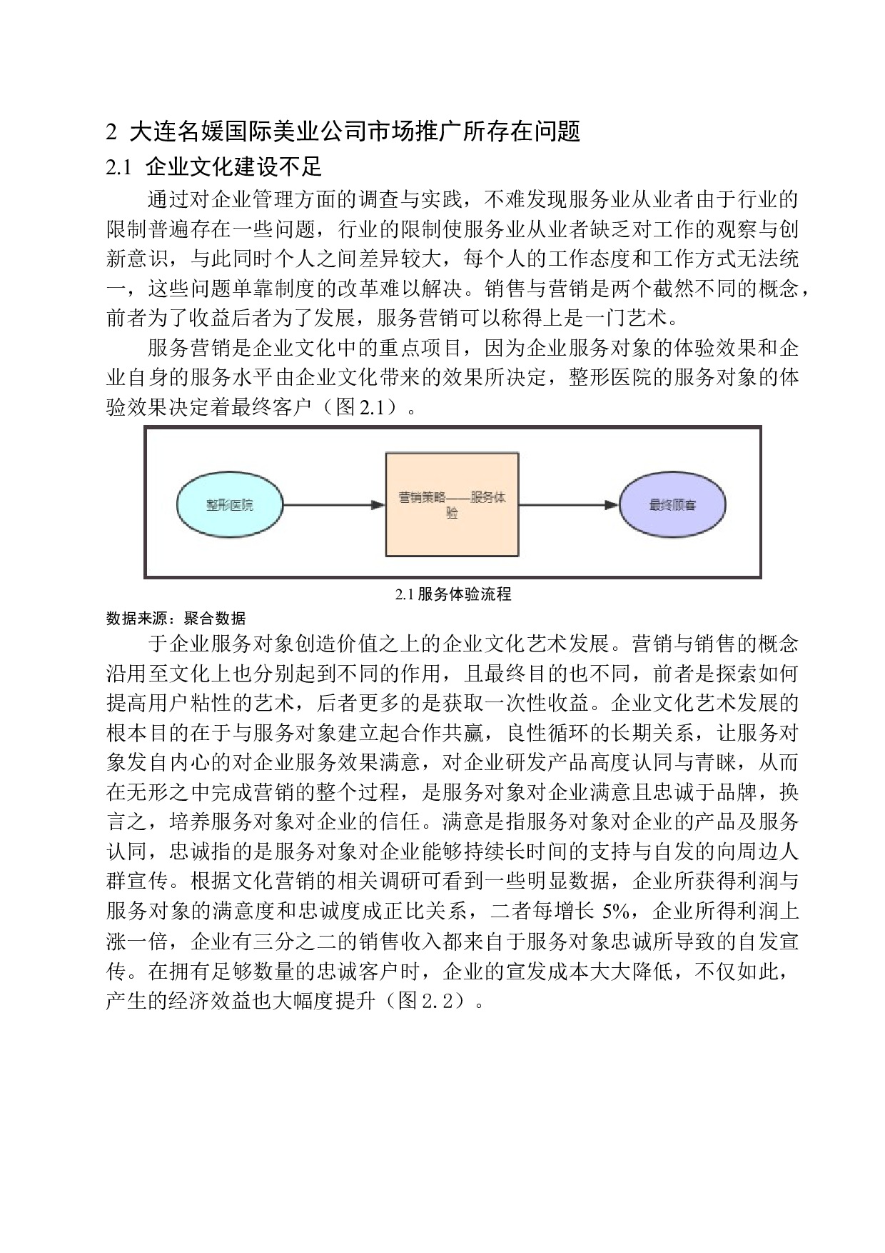 大连名媛国际美业公司市场推广问题研究-12273字.docx 第9页
