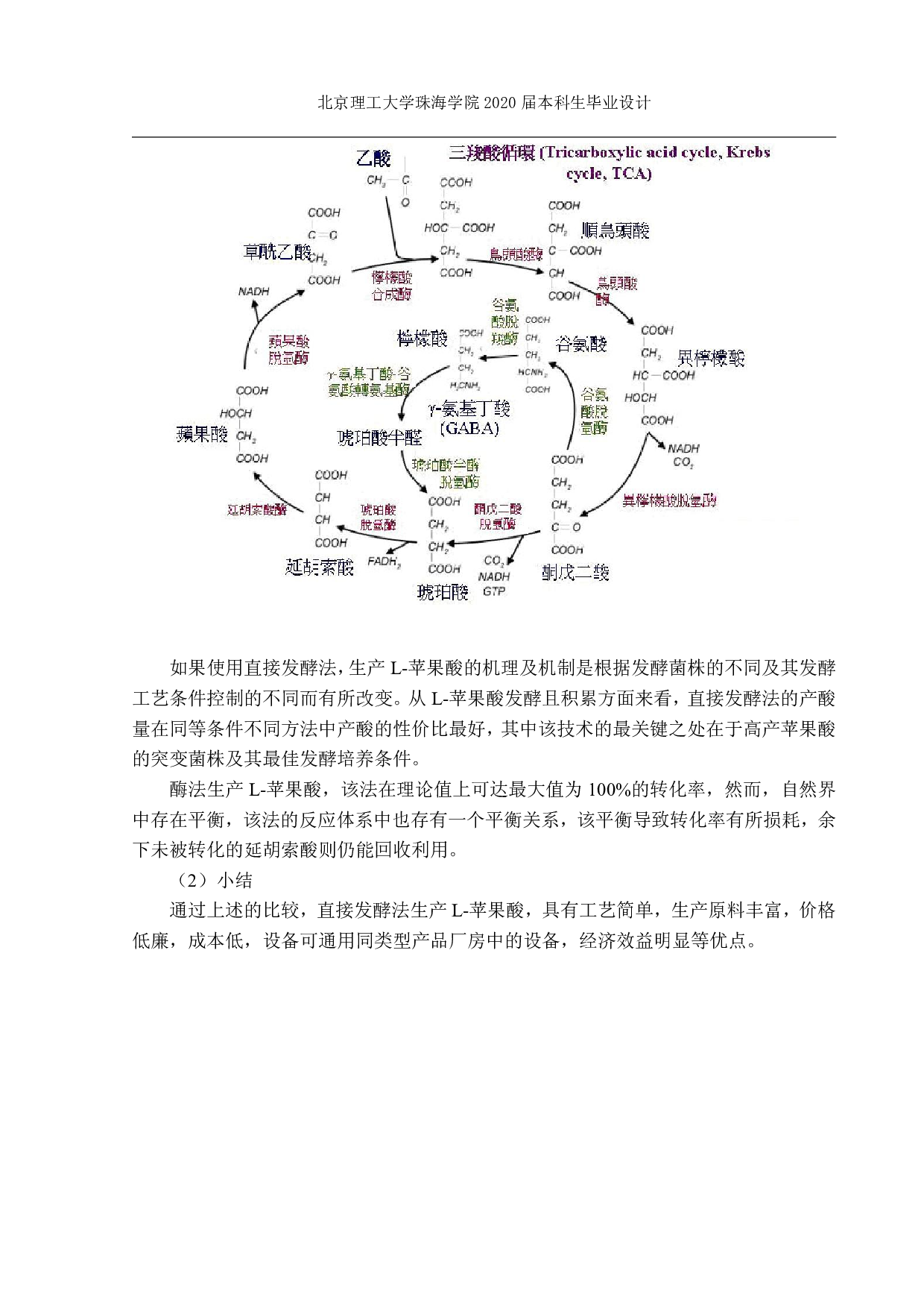 苹果酸发酵工厂设计-4250字.pdf 第5页