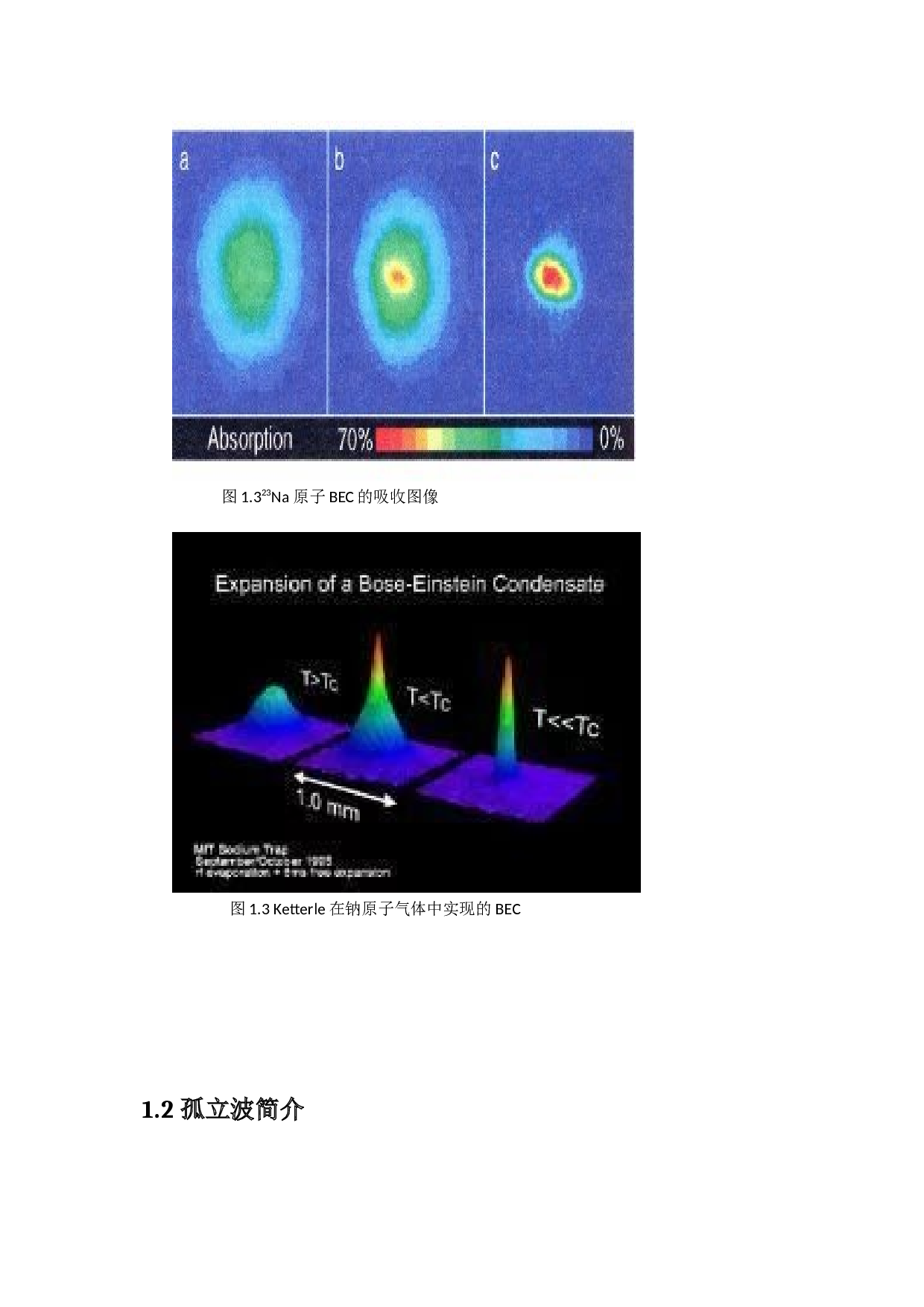 一维极化BEC中的孤立波及其稳定性-11391字.docx 第4页