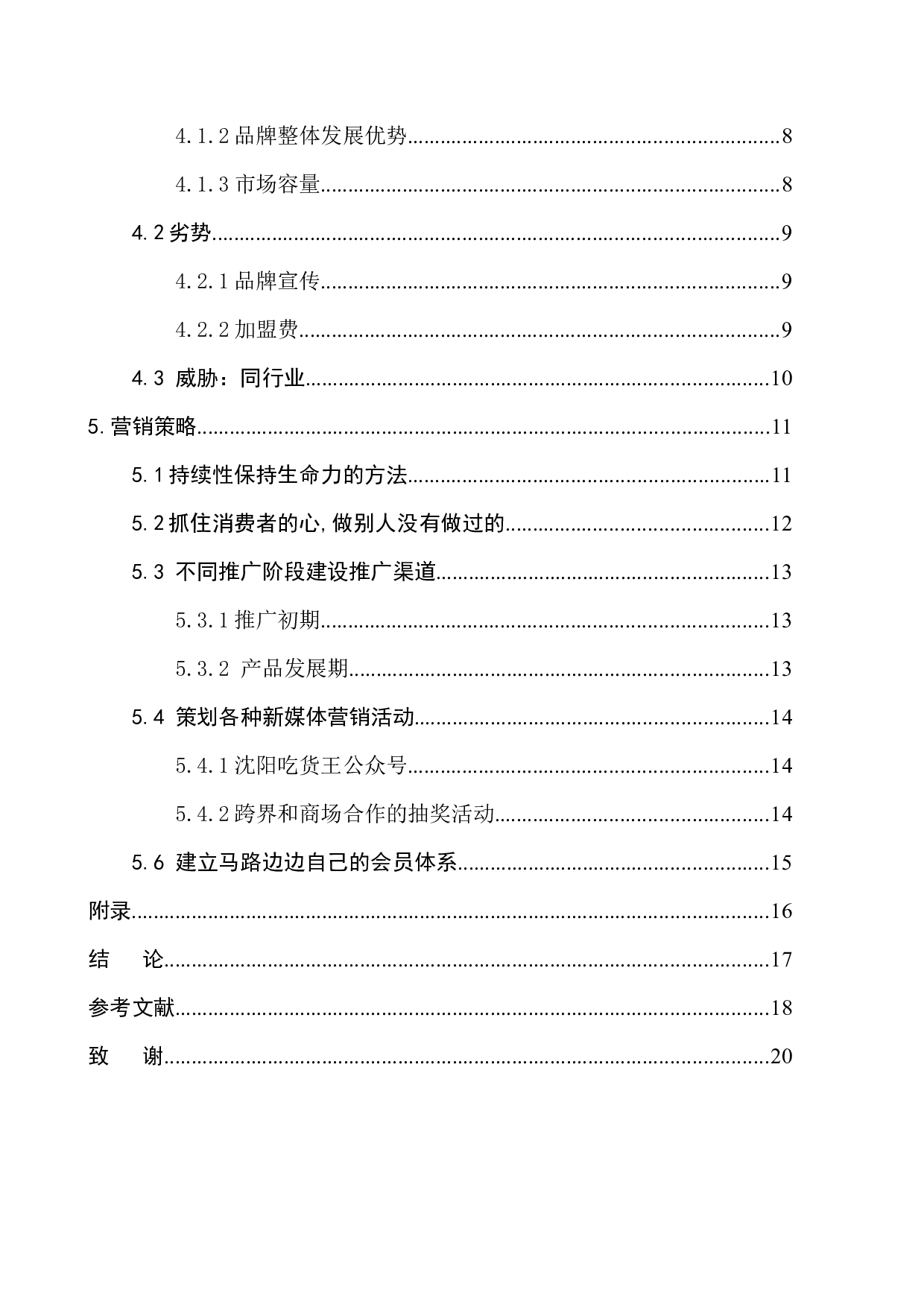 沈阳马路边边新媒体策划案-8439字.docx 第2页