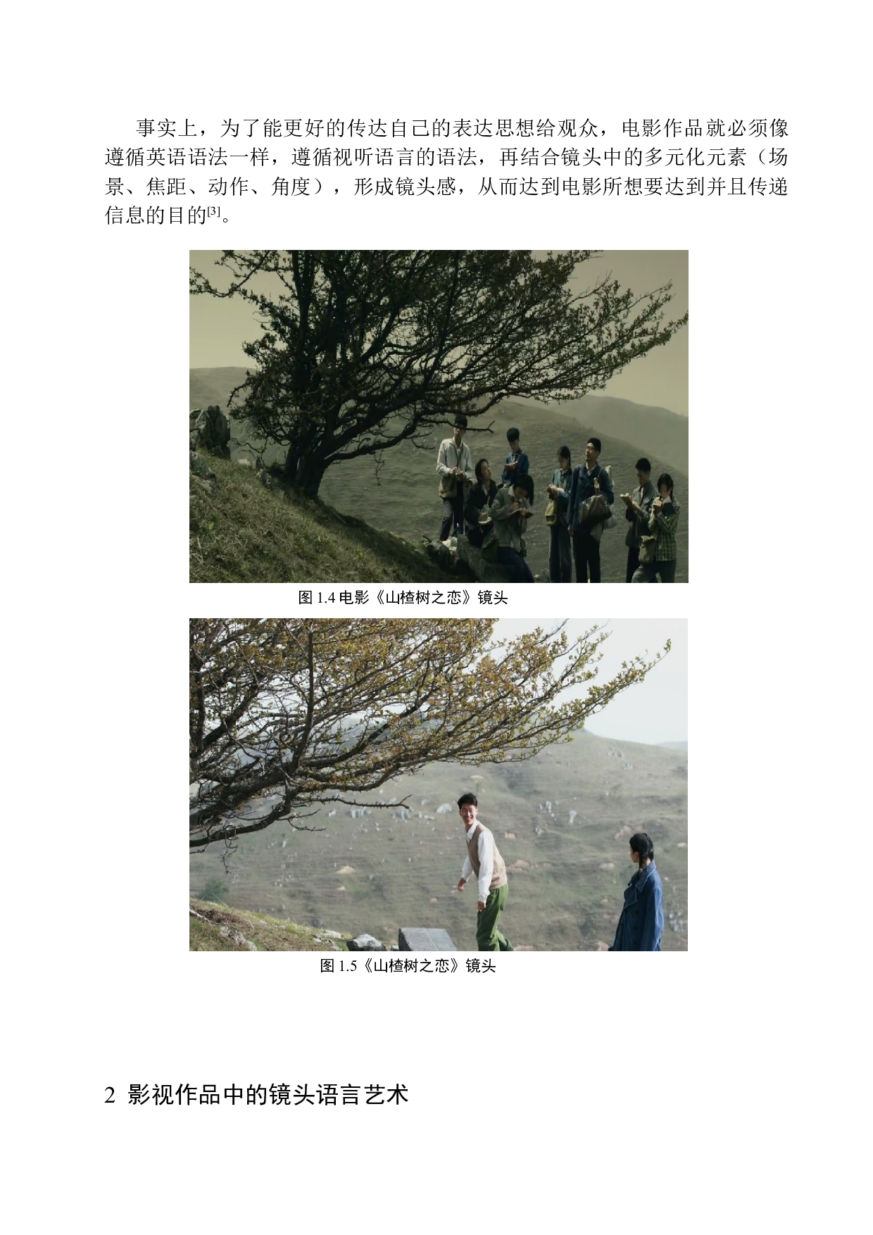 以电影《山楂树之恋》为例分析张艺谋导演的镜头语言-9486字.docx 第9页
