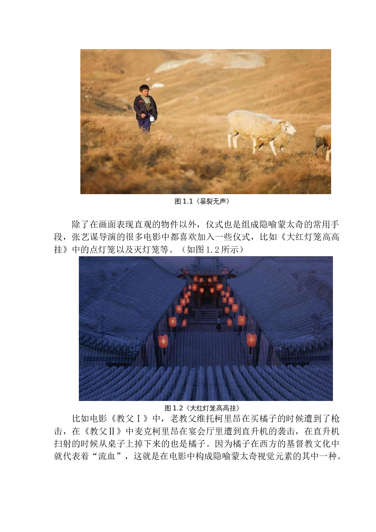 电影中隐喻蒙太奇与观众的引导关系-10235字.docx 第7页