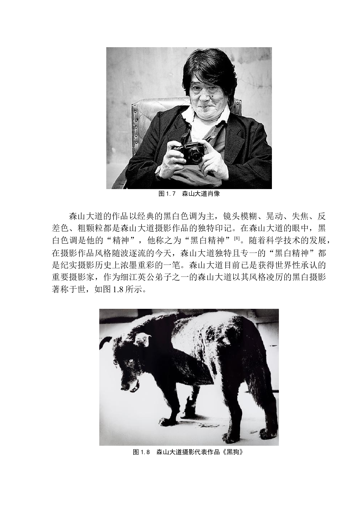 论森山大道的独特艺术语言和创作理念-9169字.docx 第10页