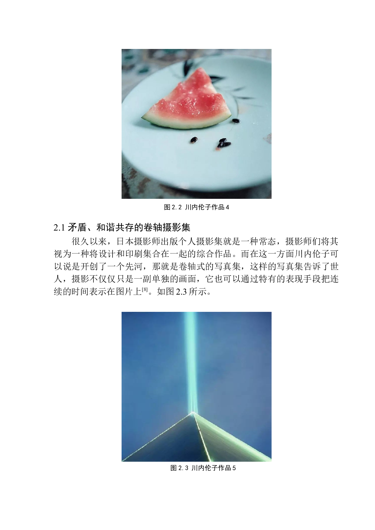 摇曳的微光&mdash;&mdash;川内伦子摄影艺术的美学研究-8251字.docx 第8页