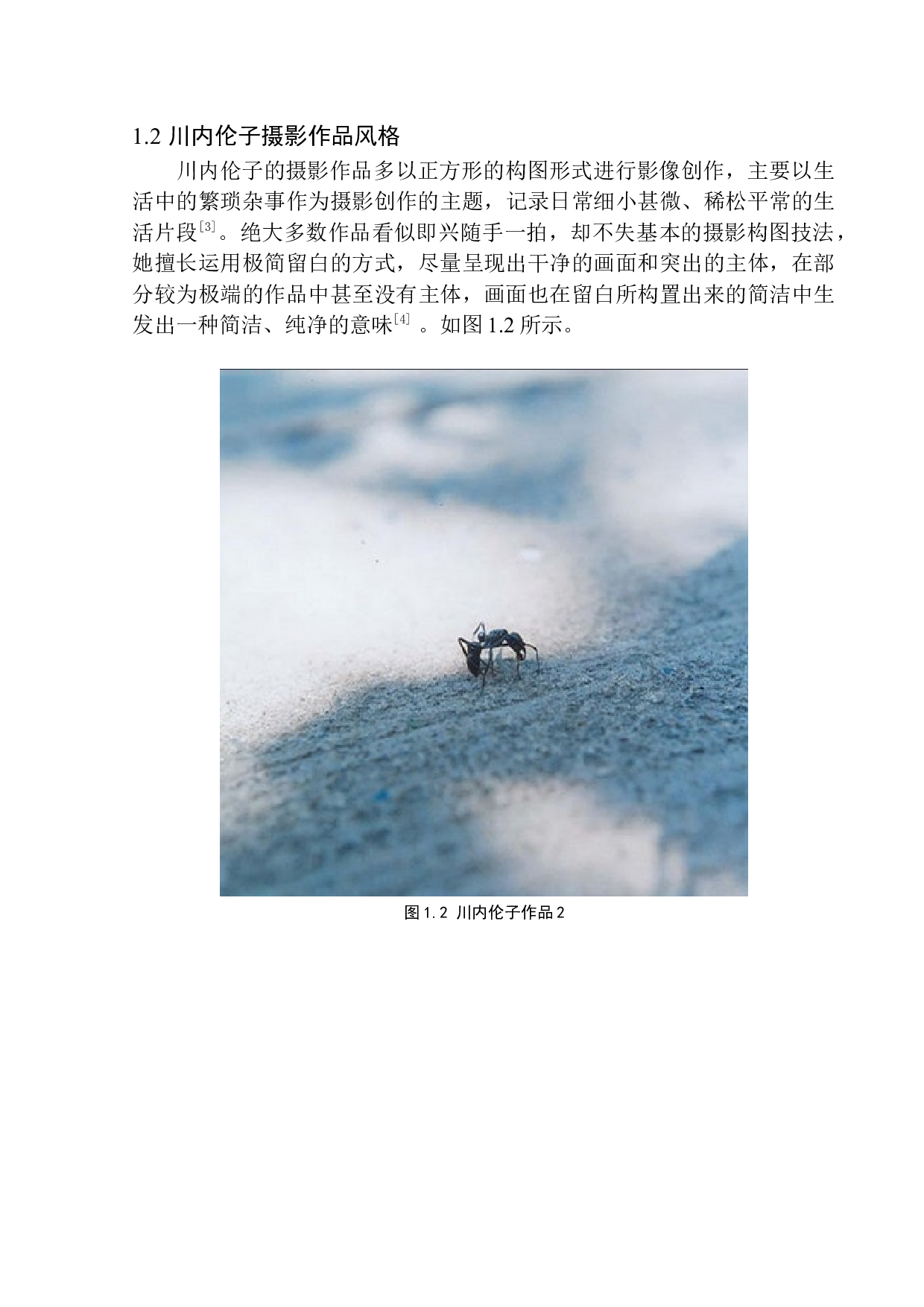 摇曳的微光&mdash;&mdash;川内伦子摄影艺术的美学研究-8251字.docx 第6页