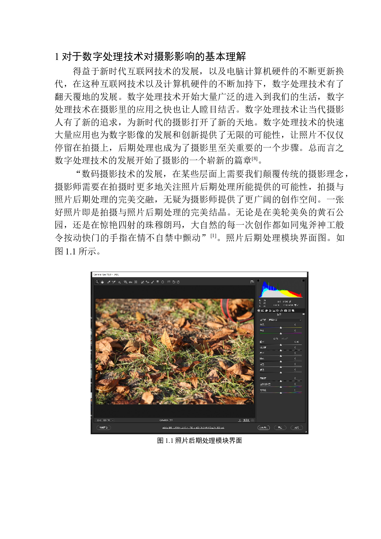 《数字处理技术对当代摄影的影响》-8049字.docx 第6页