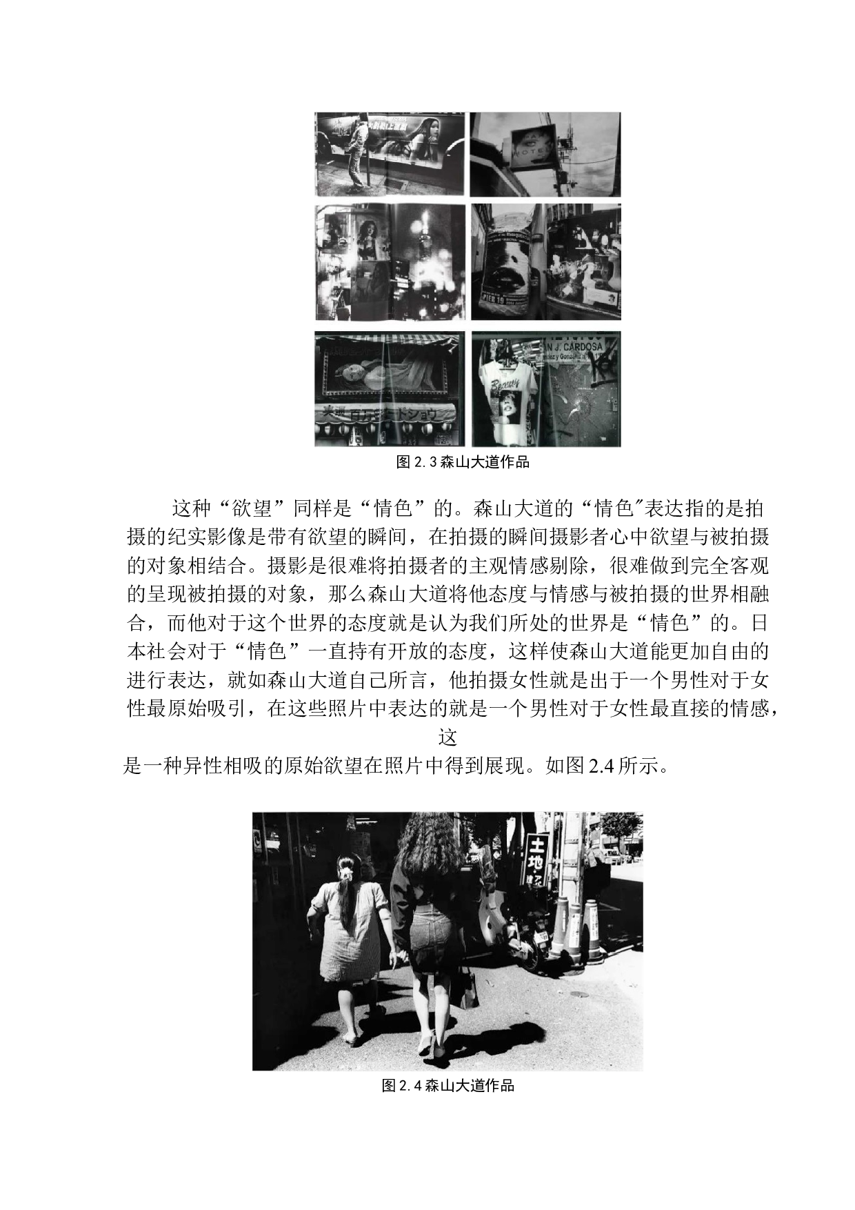 以森山大道为例探析纪实摄影的艺术表现-8753字.docx 第10页