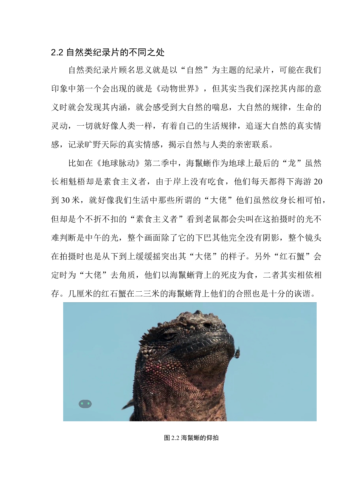 光影在自然类纪录片的艺术呈现-9561字.docx 第10页